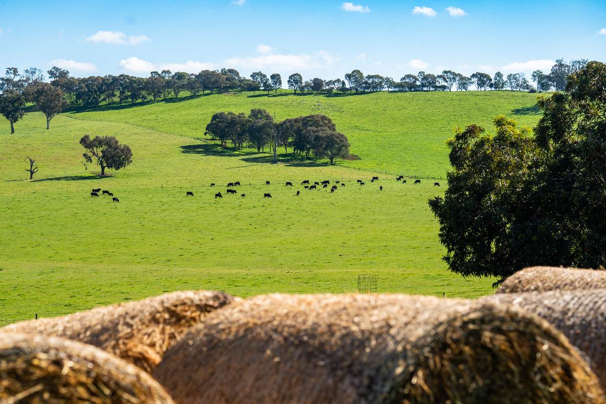 295 Hovell Road, Bungowannah For Sale by Farmbuy.com - image 2