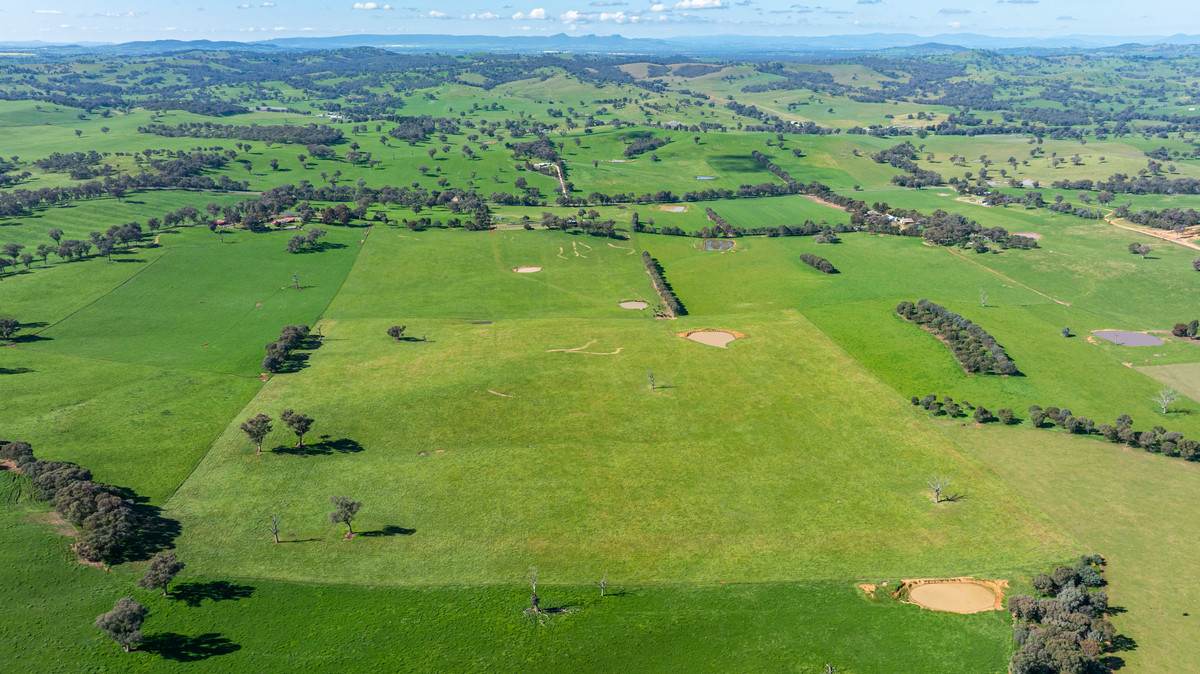 295 Hovell Road, Bungowannah For Sale by Farmbuy.com - image 6