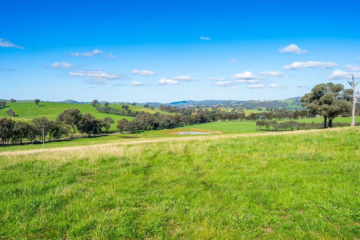 295 Hovell Road, Bungowannah For Sale by Farmbuy.com - image 26
