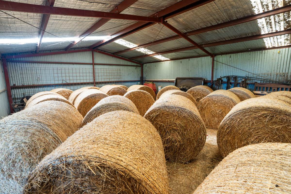 295 Hovell Road, Bungowannah For Sale by Farmbuy.com - image 16