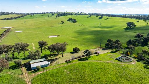 Farm For Sale - NSW - Bungowannah - 2640 - "Kenyon" 