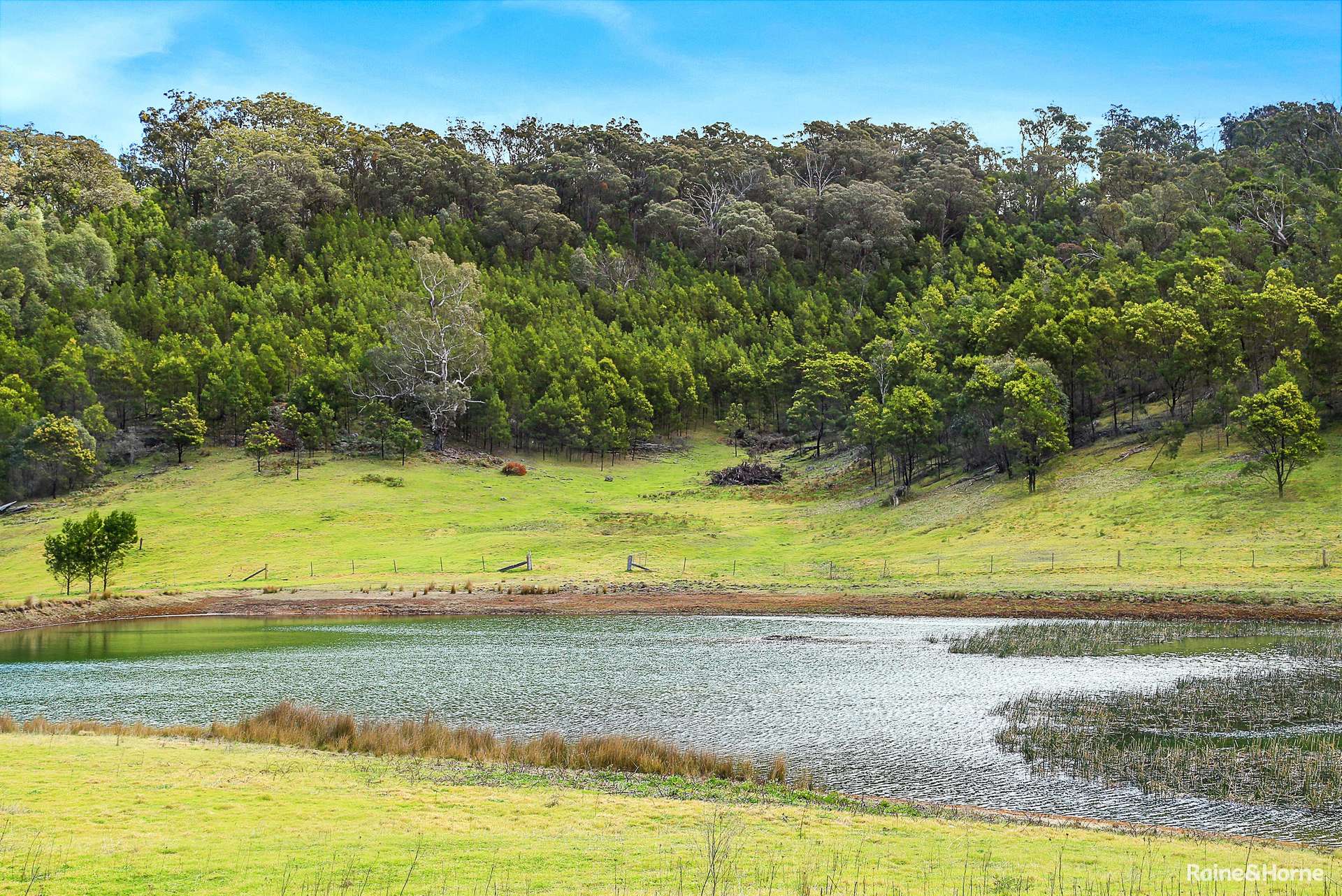 2058 Canyonleigh Road, Canyonleigh For Sale by Farmbuy.com - image 16