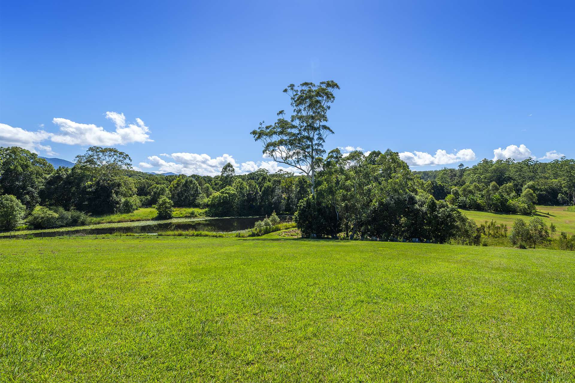 4 Jugiil Close, Bellingen For Sale by Farmbuy.com - image 10