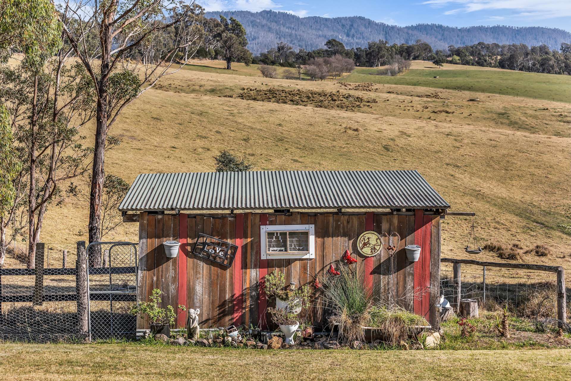 79 Bent Street, Quaama For Sale by Farmbuy.com - image 8