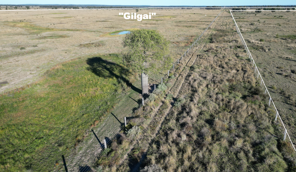 611 Red Hill Road, Chinchilla QLD 4413