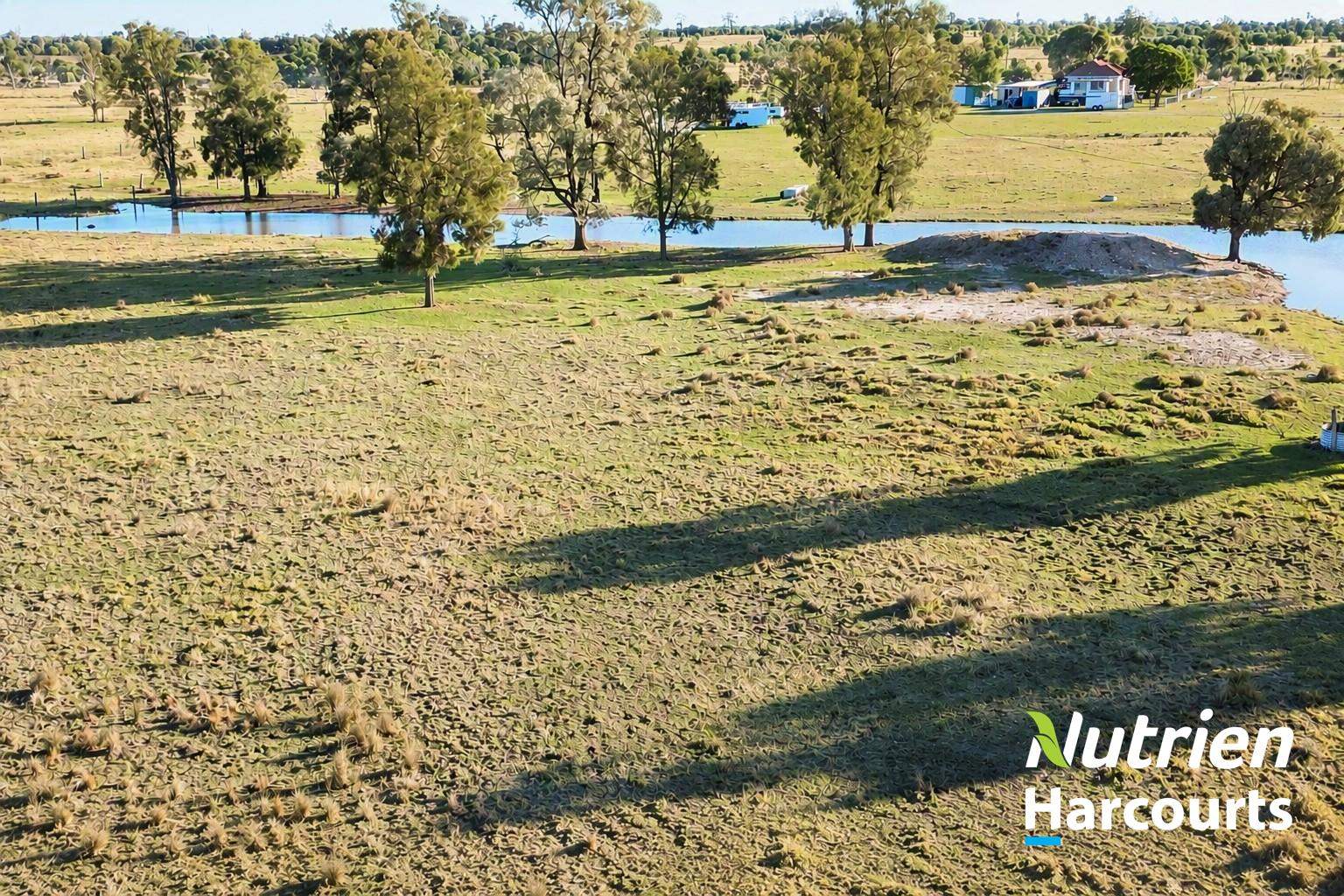 611 Red Hill Road, Chinchilla Auction by Farmbuy.com - image 2