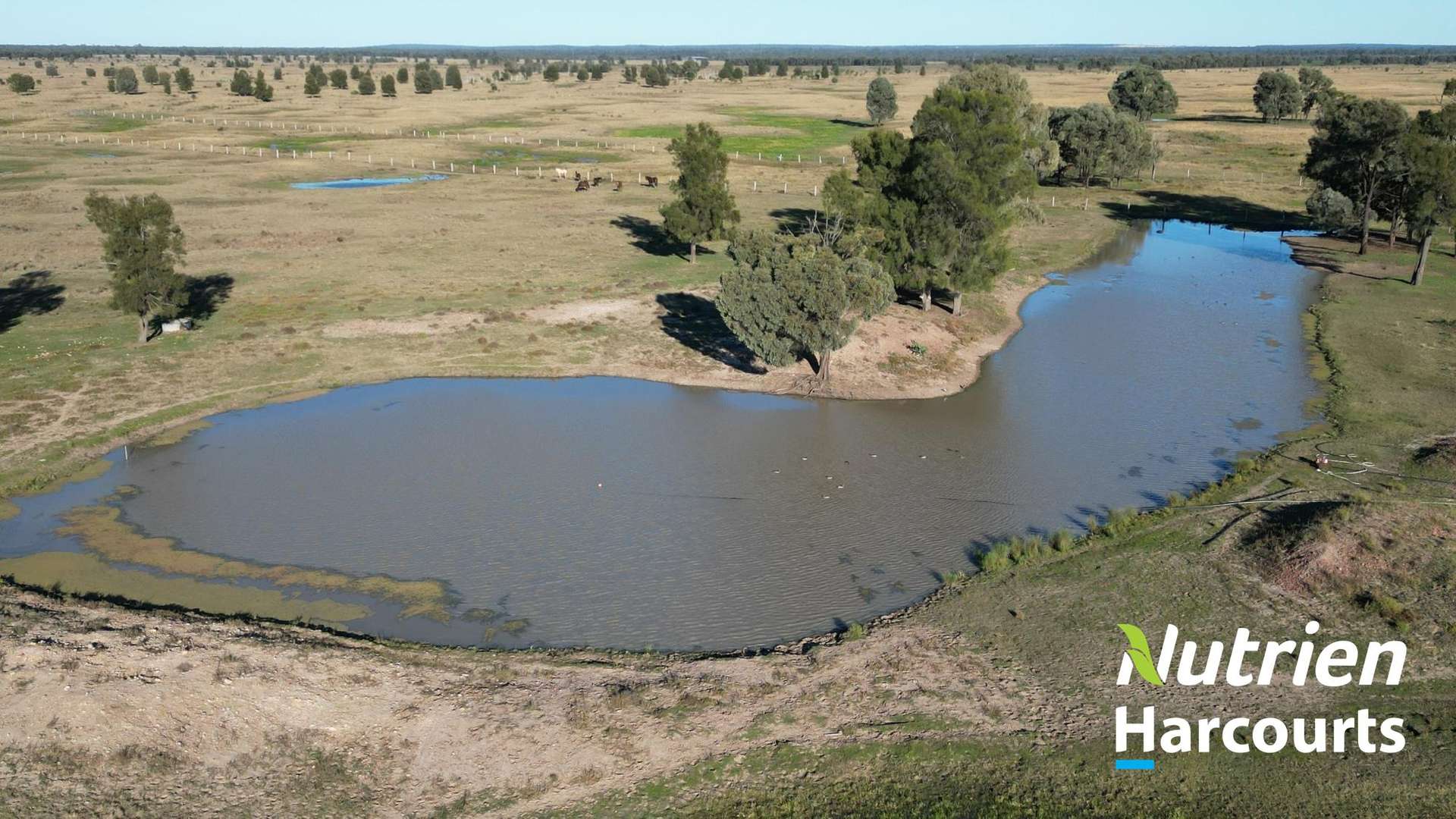 611 Red Hill Road, Chinchilla Auction by Farmbuy.com - image 8