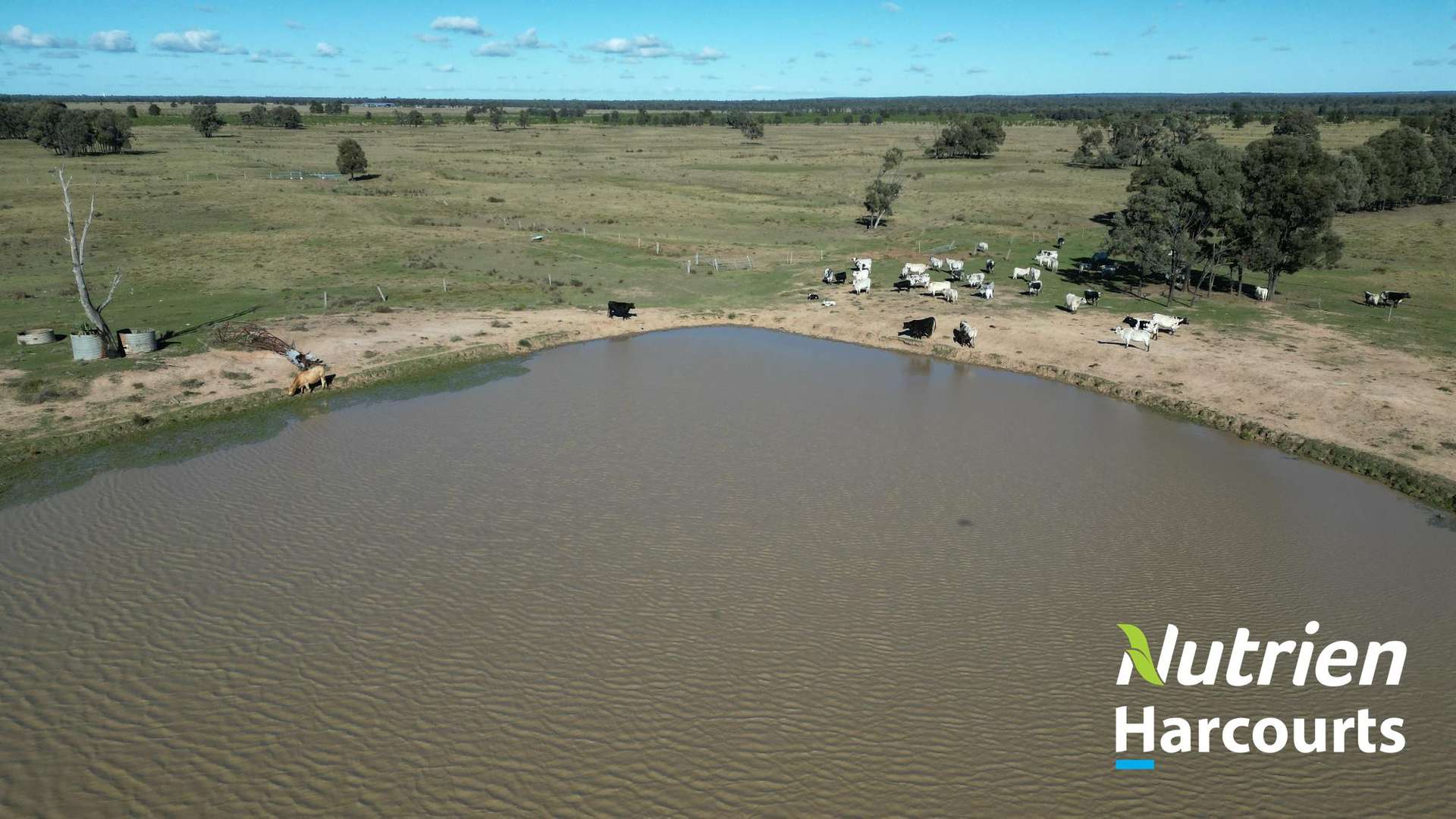 611 Red Hill Road, Chinchilla Auction by Farmbuy.com - image 24