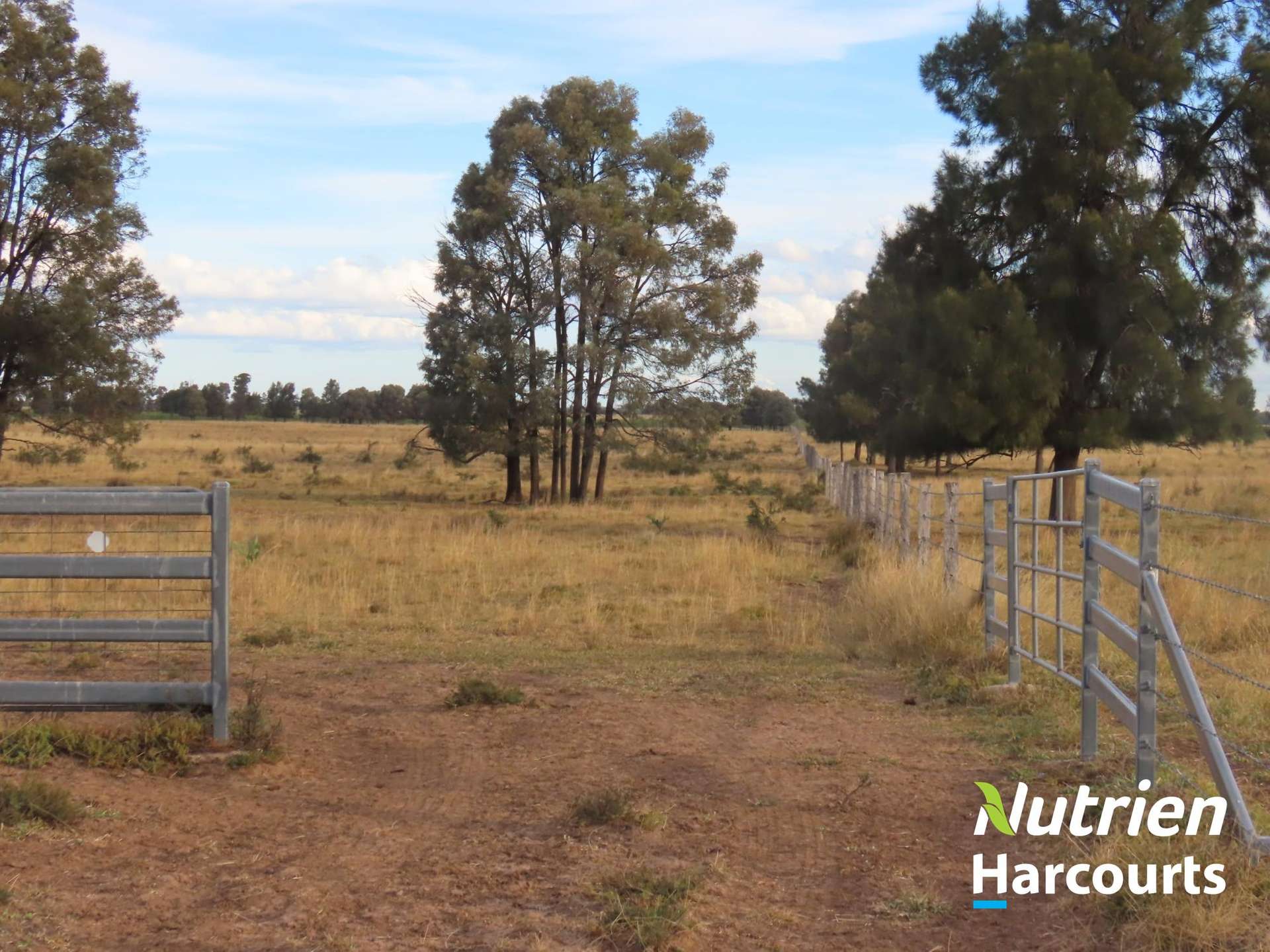 611 Red Hill Road, Chinchilla Auction by Farmbuy.com - image 33