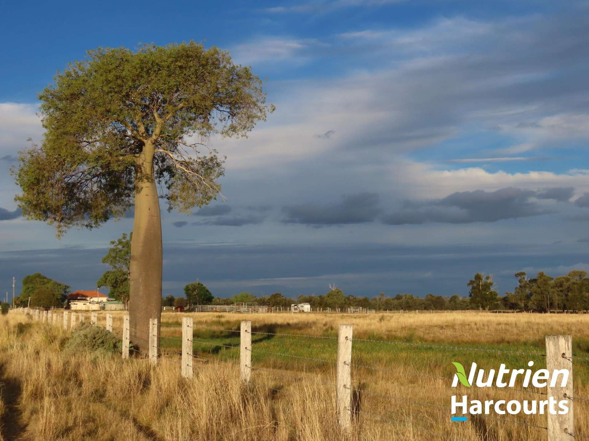 611 Red Hill Road, Chinchilla Auction by Farmbuy.com - image 26