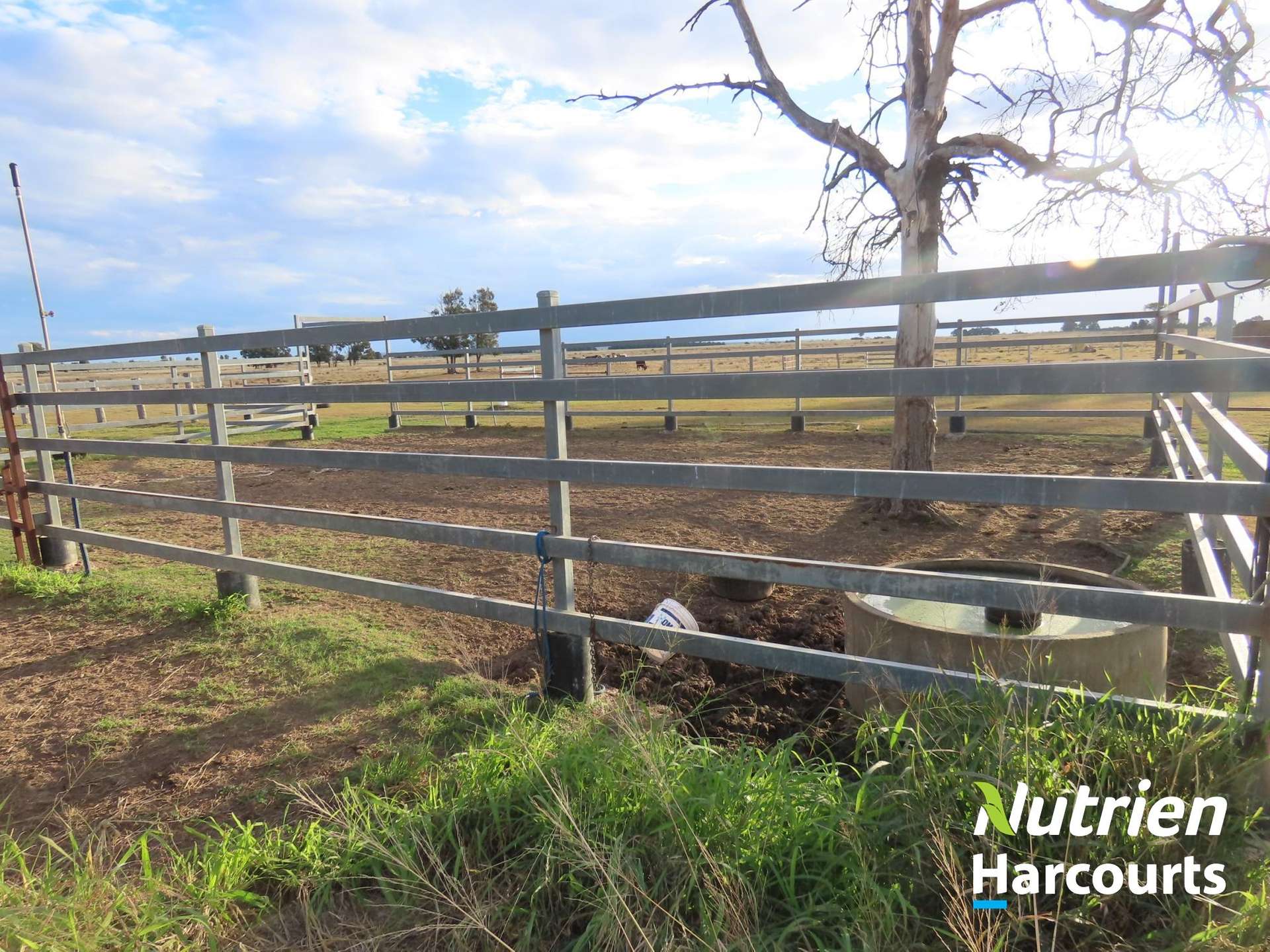 611 Red Hill Road, Chinchilla Auction by Farmbuy.com - image 19