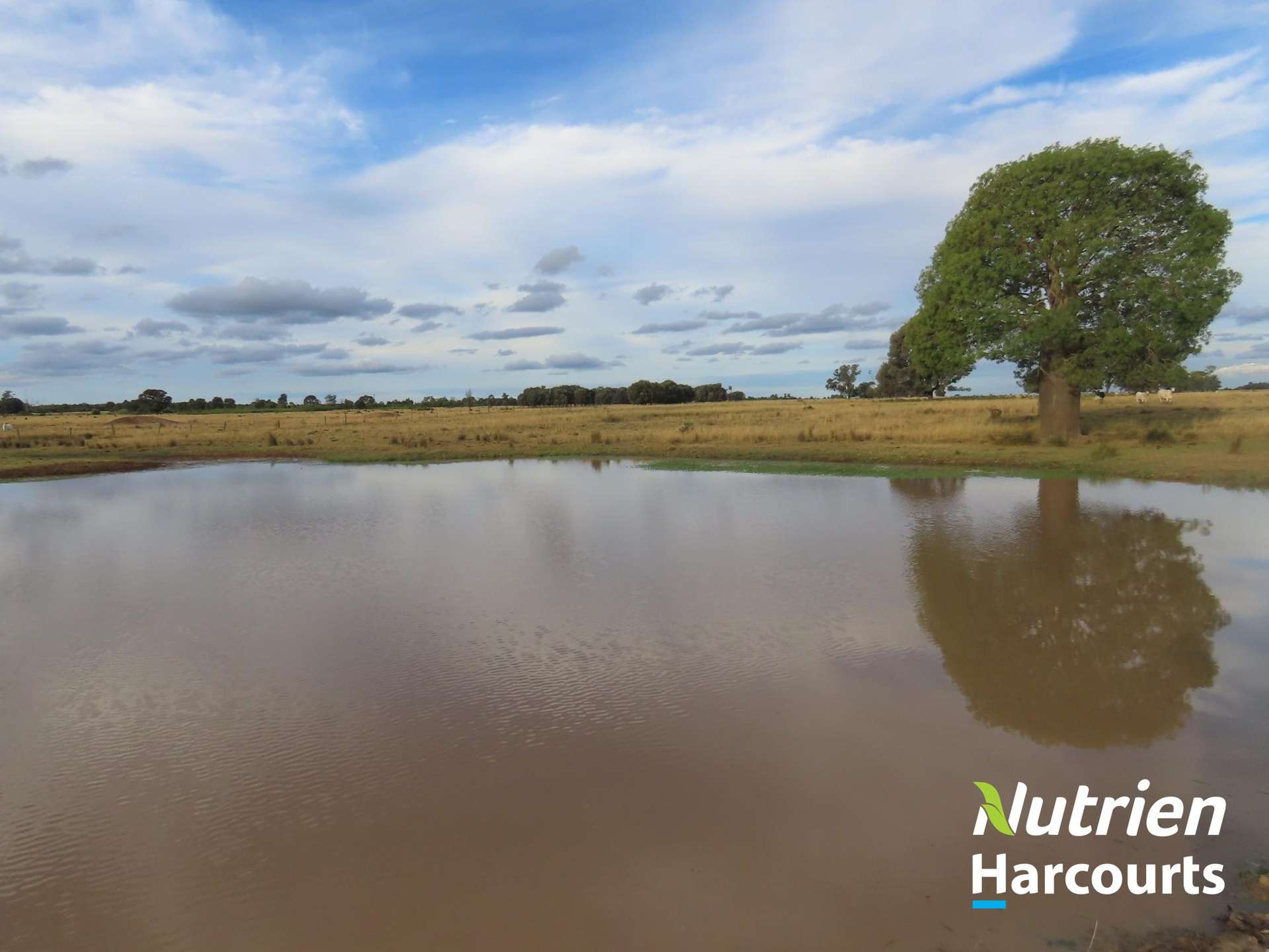 611 Red Hill Road, Chinchilla Auction by Farmbuy.com - image 23