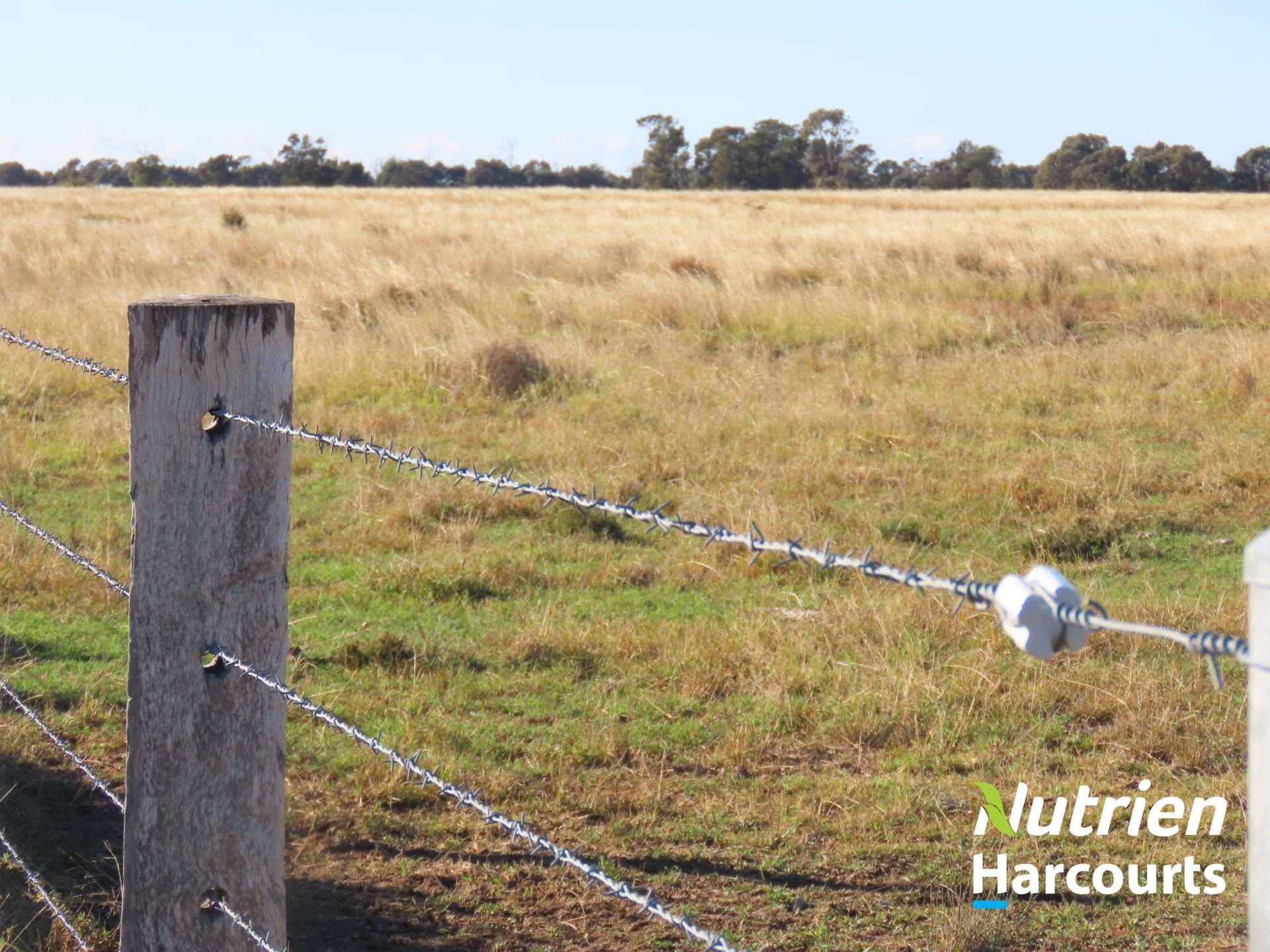 611 Red Hill Road, Chinchilla Auction by Farmbuy.com - image 28
