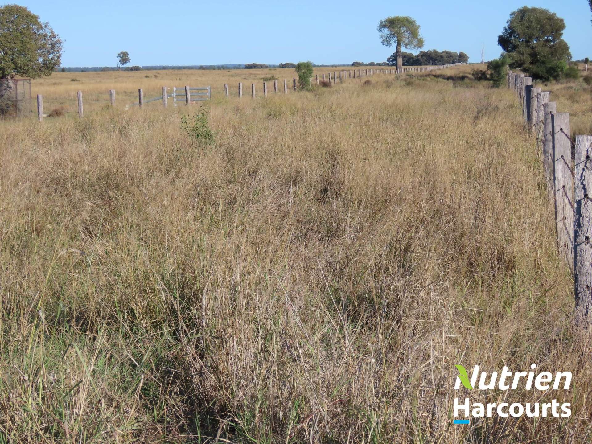 611 Red Hill Road, Chinchilla Auction by Farmbuy.com - image 31