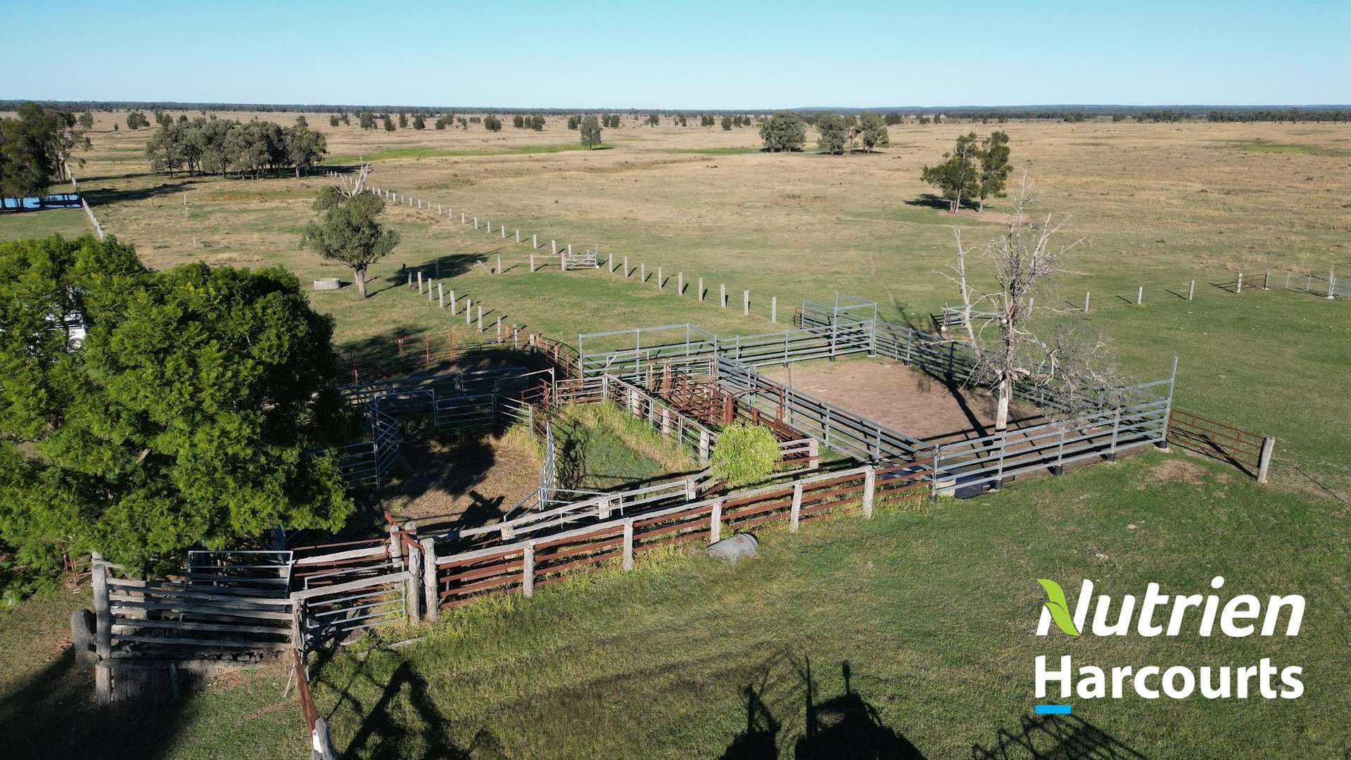611 Red Hill Road, Chinchilla Auction by Farmbuy.com - image 6