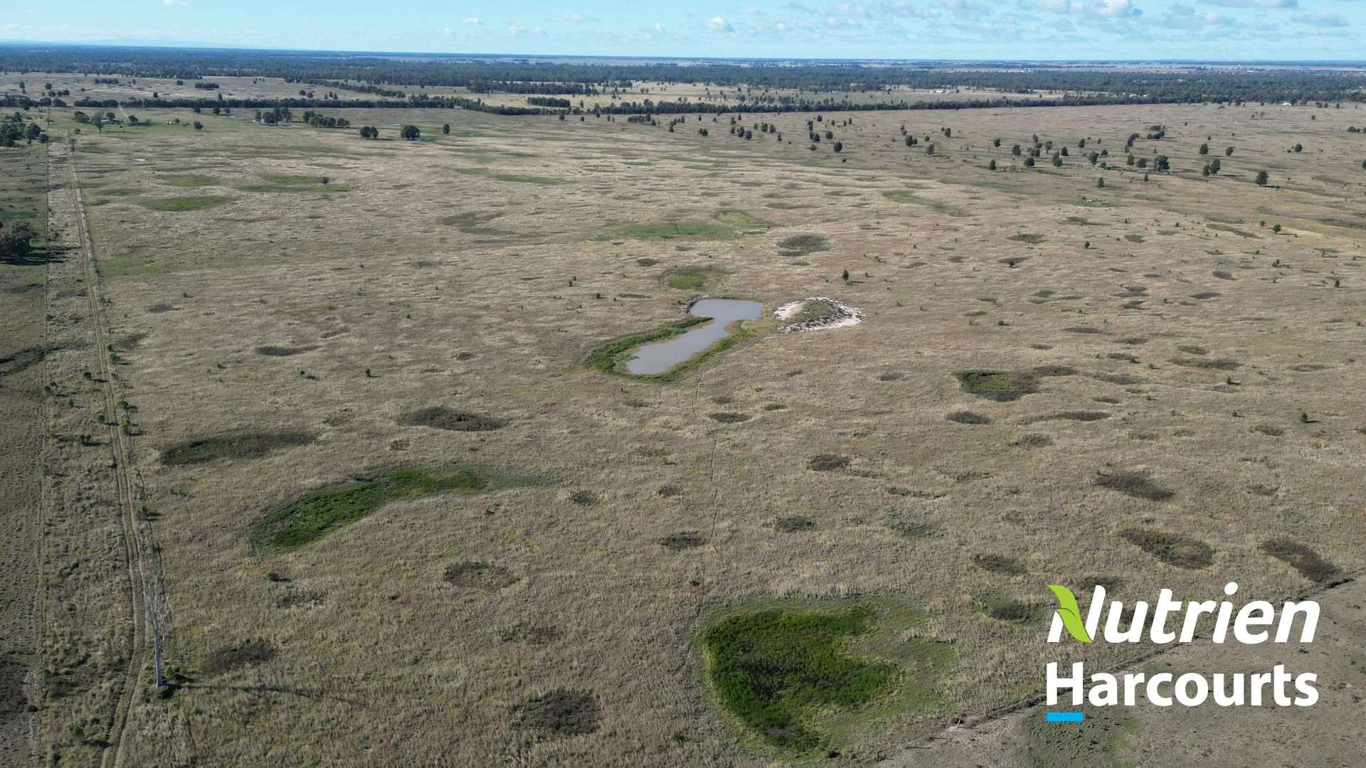 611 Red Hill Road, Chinchilla Auction by Farmbuy.com - image 15