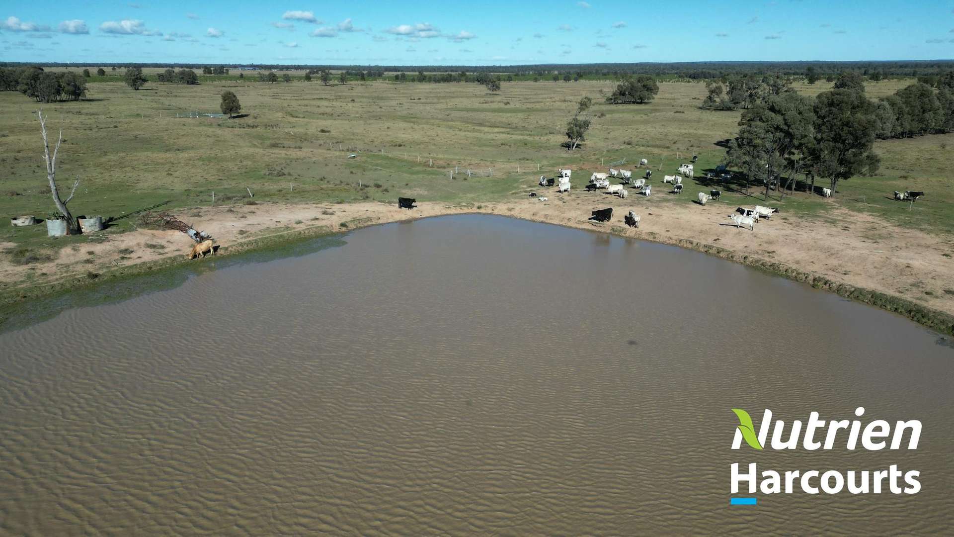 611 Red Hill Road, Chinchilla Auction by Farmbuy.com - image 24
