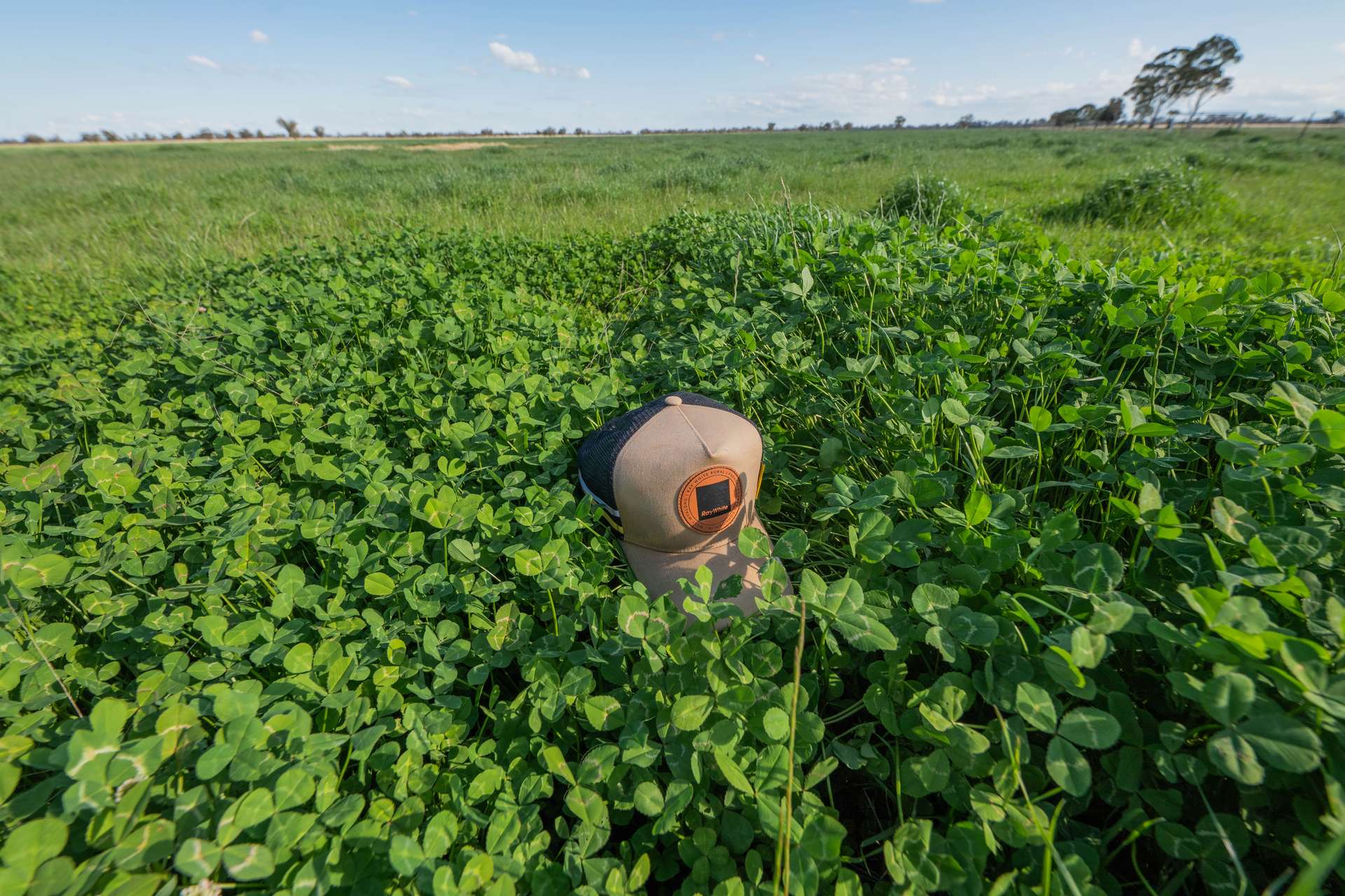"Greendale" 536 Wyrra Lane, West Wyalong For Sale by Farmbuy.com - image 33