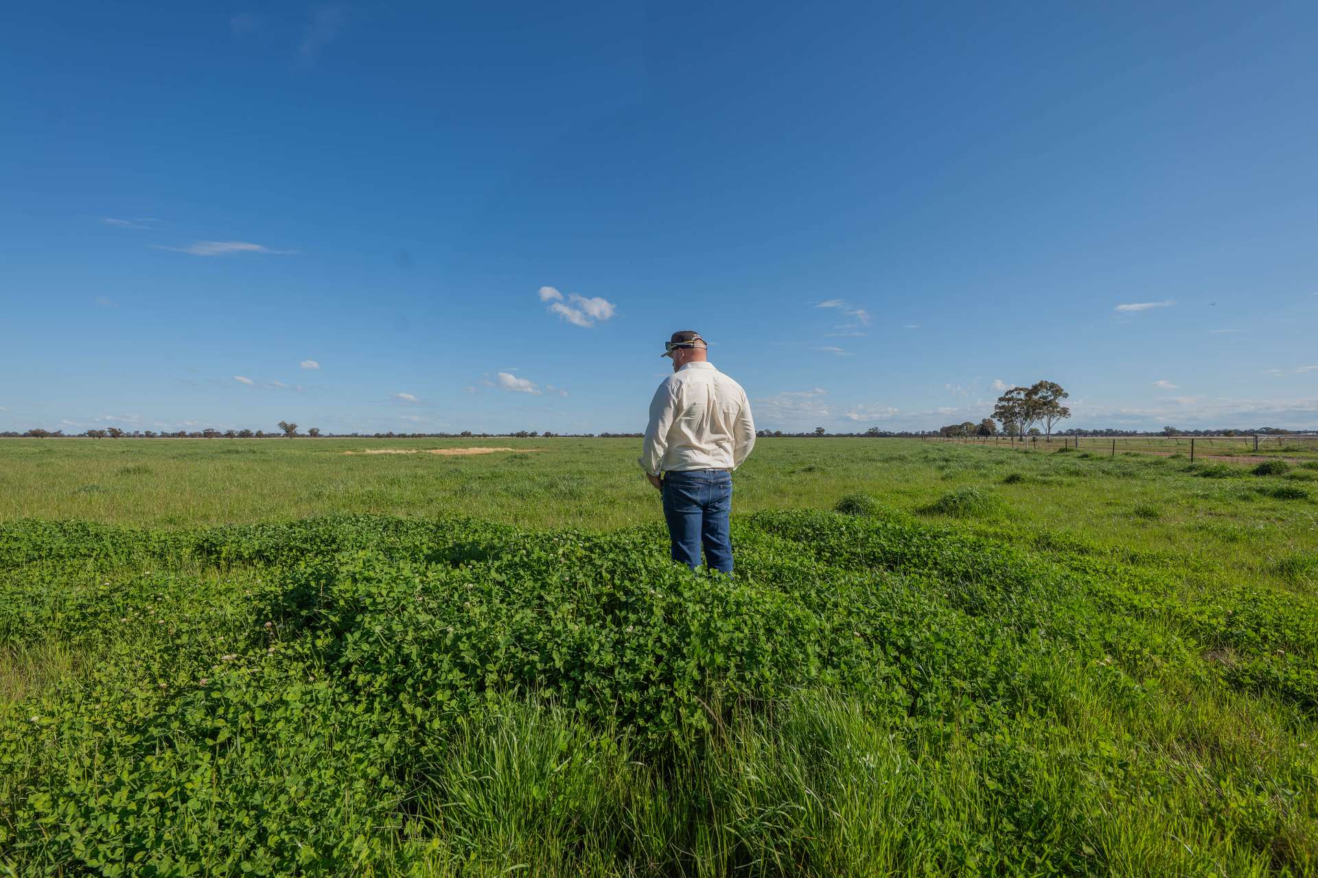 "Greendale" 536 Wyrra Lane, West Wyalong For Sale by Farmbuy.com - image 2