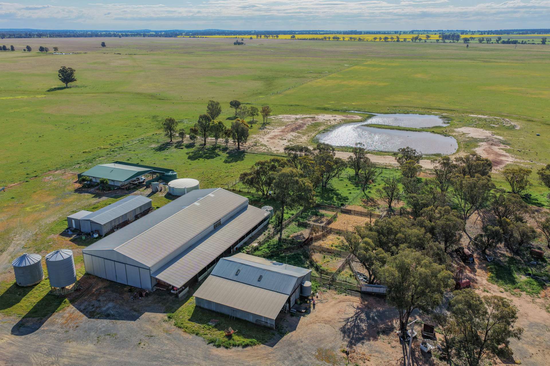 "Greendale" 536 Wyrra Lane, West Wyalong For Sale by Farmbuy.com - image 5