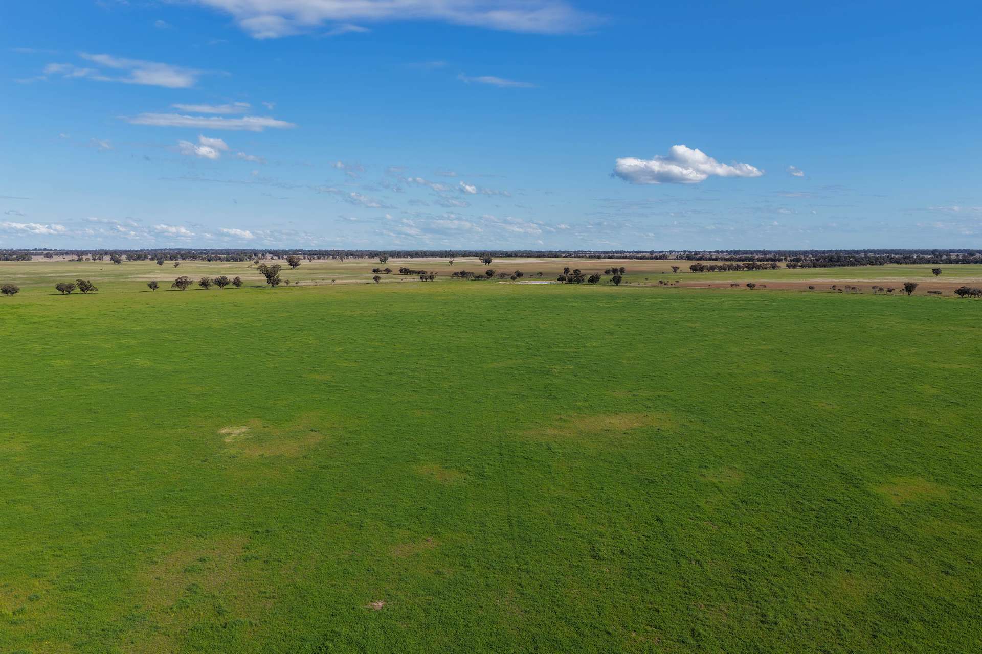 "Greendale" 536 Wyrra Lane, West Wyalong For Sale by Farmbuy.com - image 32