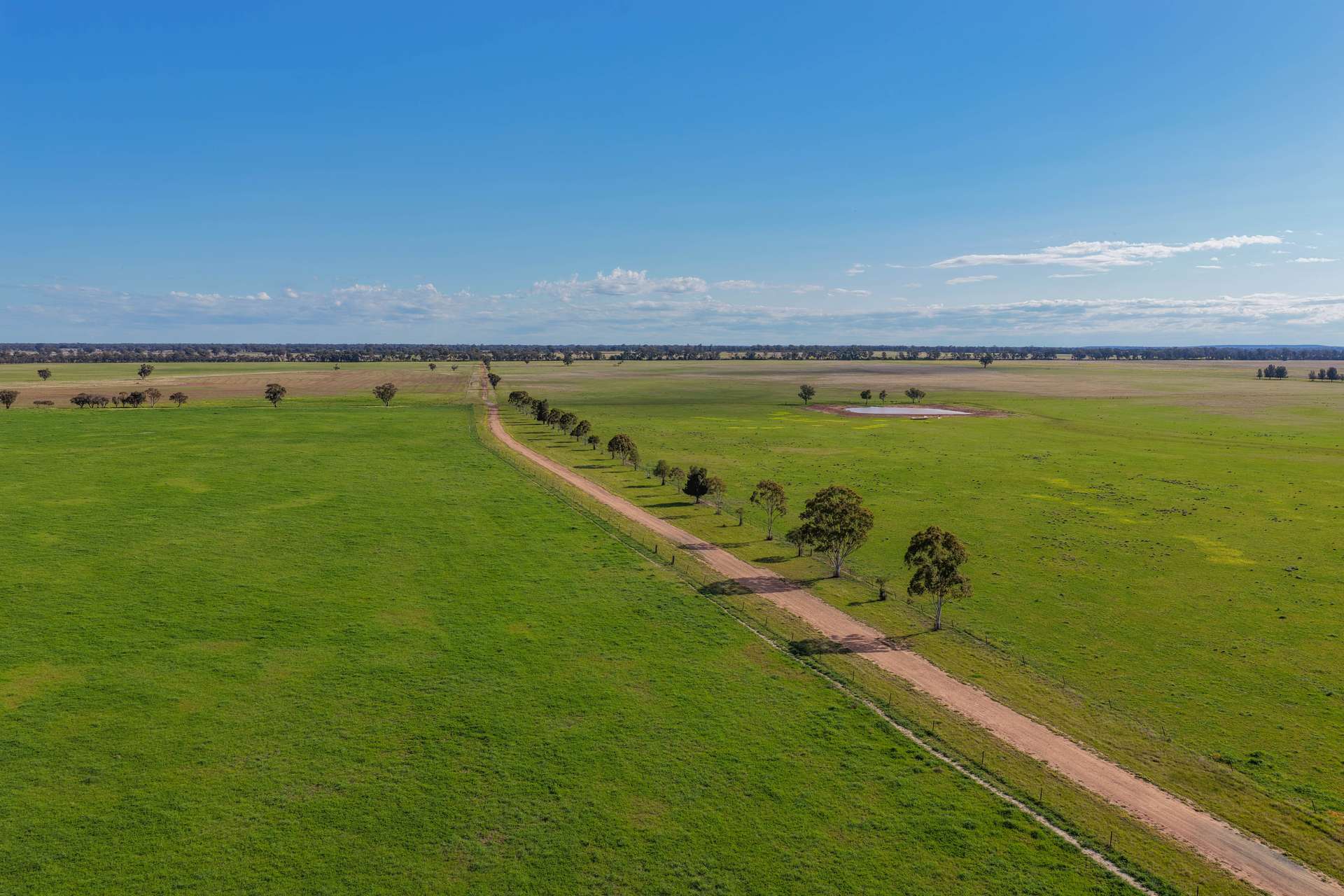"Greendale" 536 Wyrra Lane, West Wyalong For Sale by Farmbuy.com - image 1