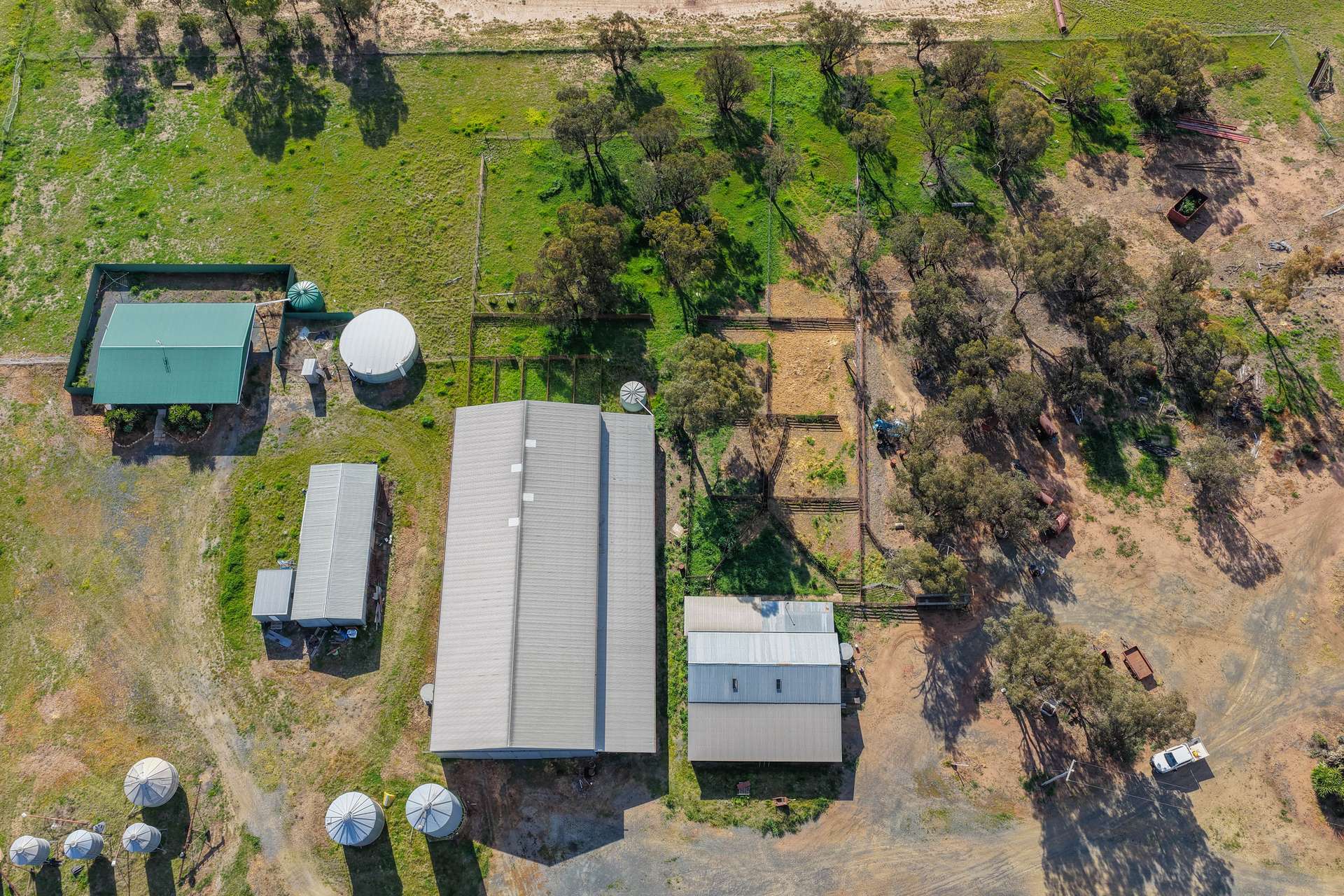 "Greendale" 536 Wyrra Lane, West Wyalong For Sale by Farmbuy.com - image 24