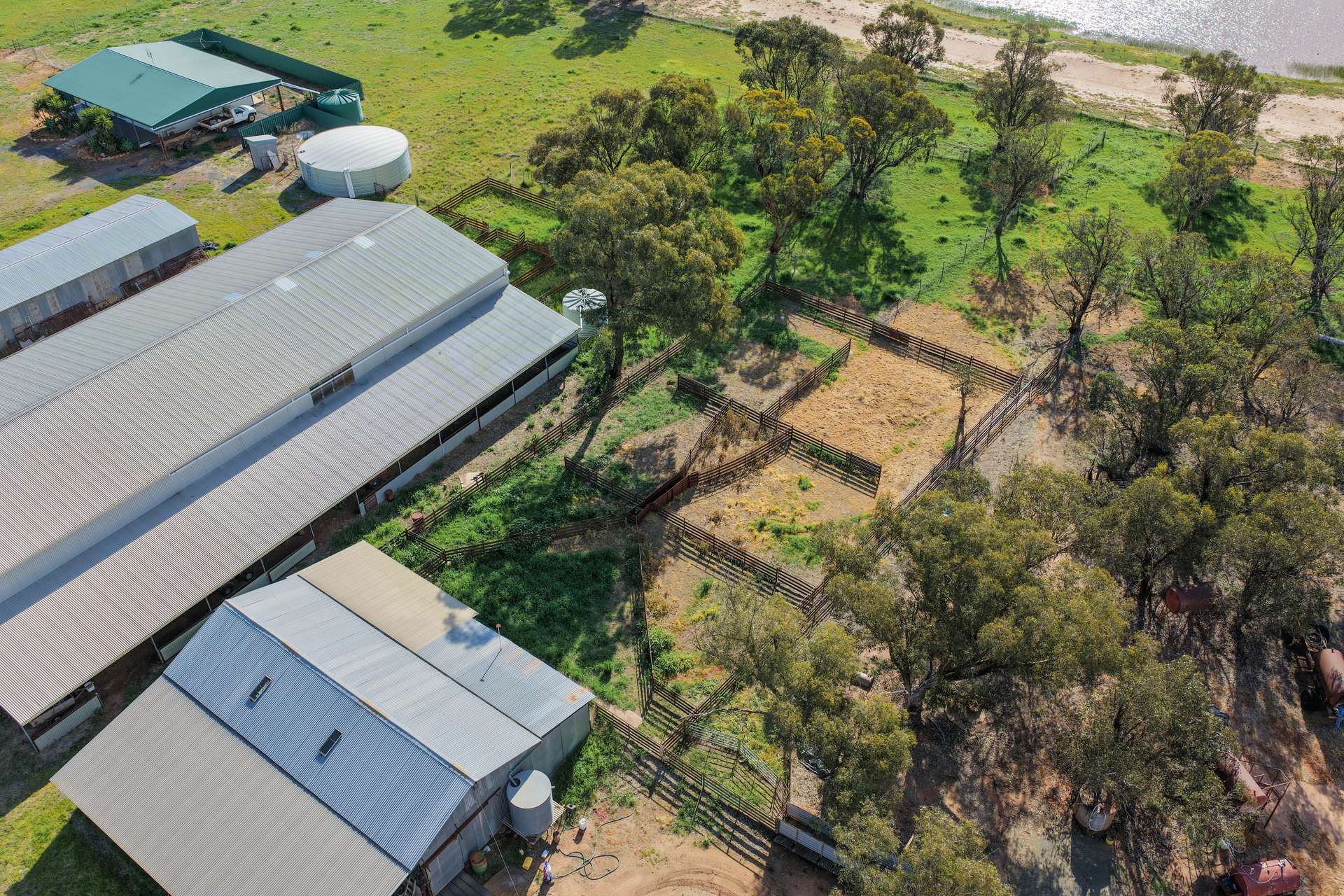 "Greendale" 536 Wyrra Lane, West Wyalong For Sale by Farmbuy.com - image 23