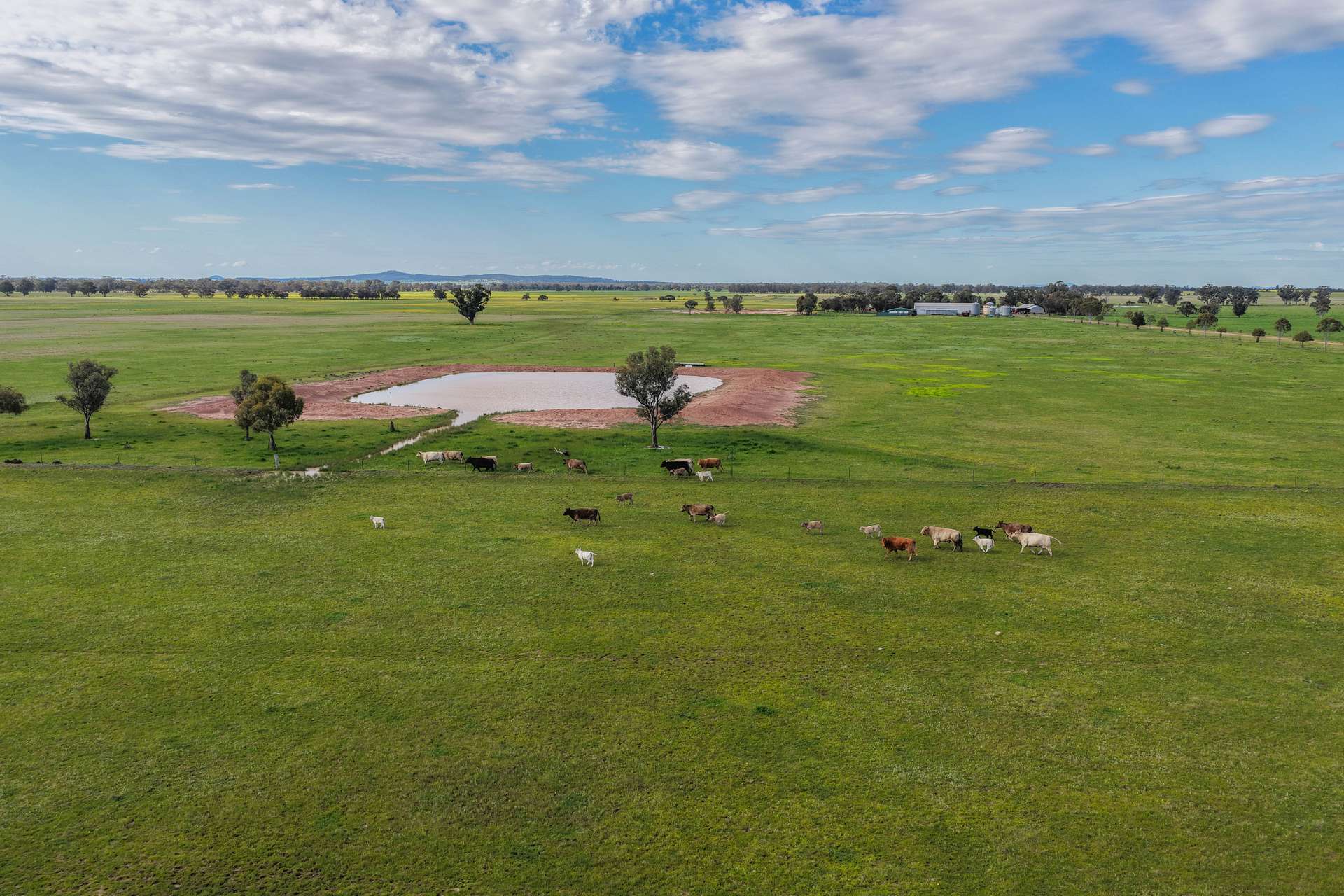 "Greendale" 536 Wyrra Lane, West Wyalong For Sale by Farmbuy.com - image 4