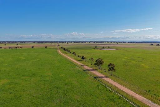 Farm For Sale - NSW - West Wyalong - 2671 - 'Greendale' | Outstanding 4,526-acre holding 