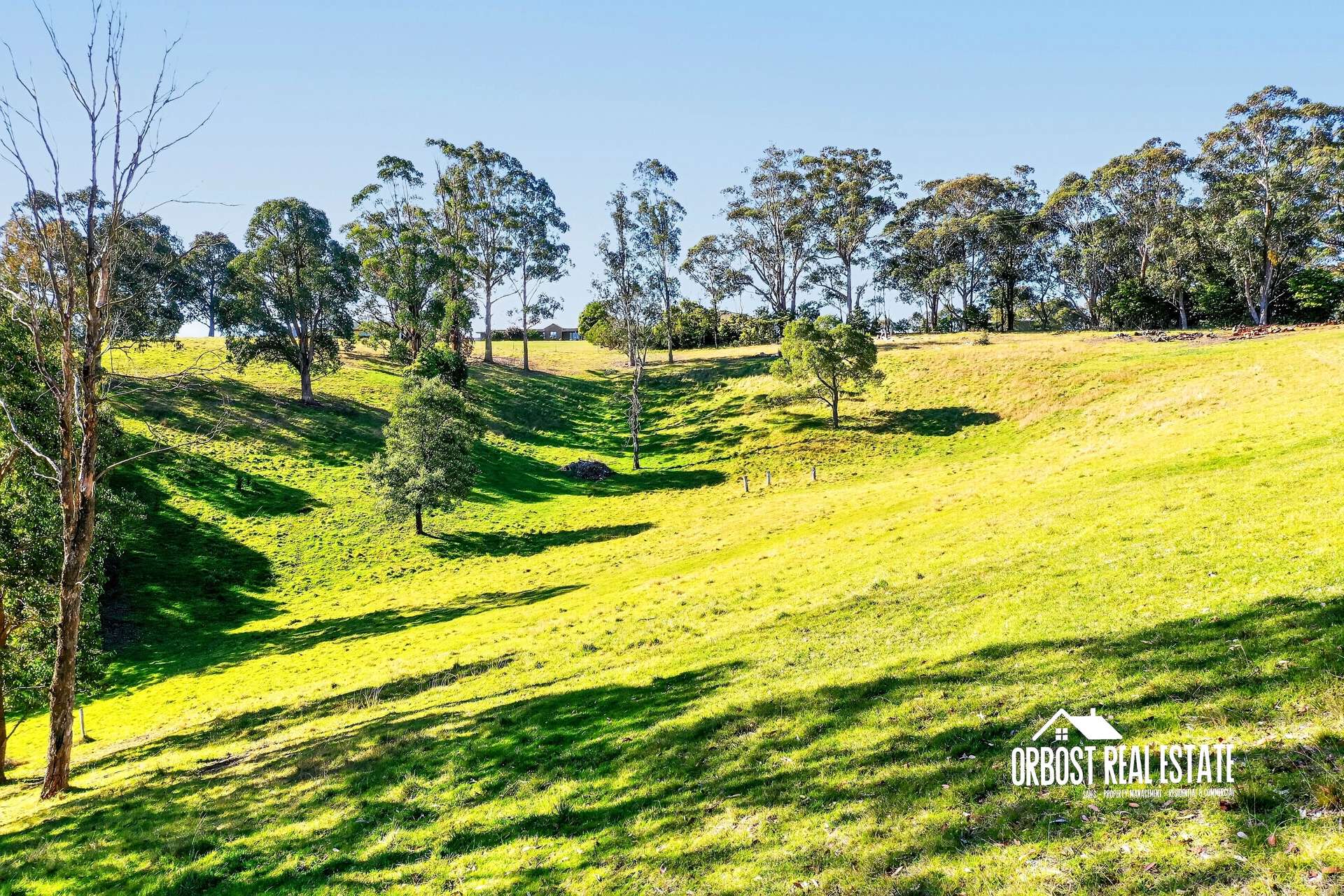 141 Prestons Road, Newmerella For Sale by Farmbuy.com - image 27