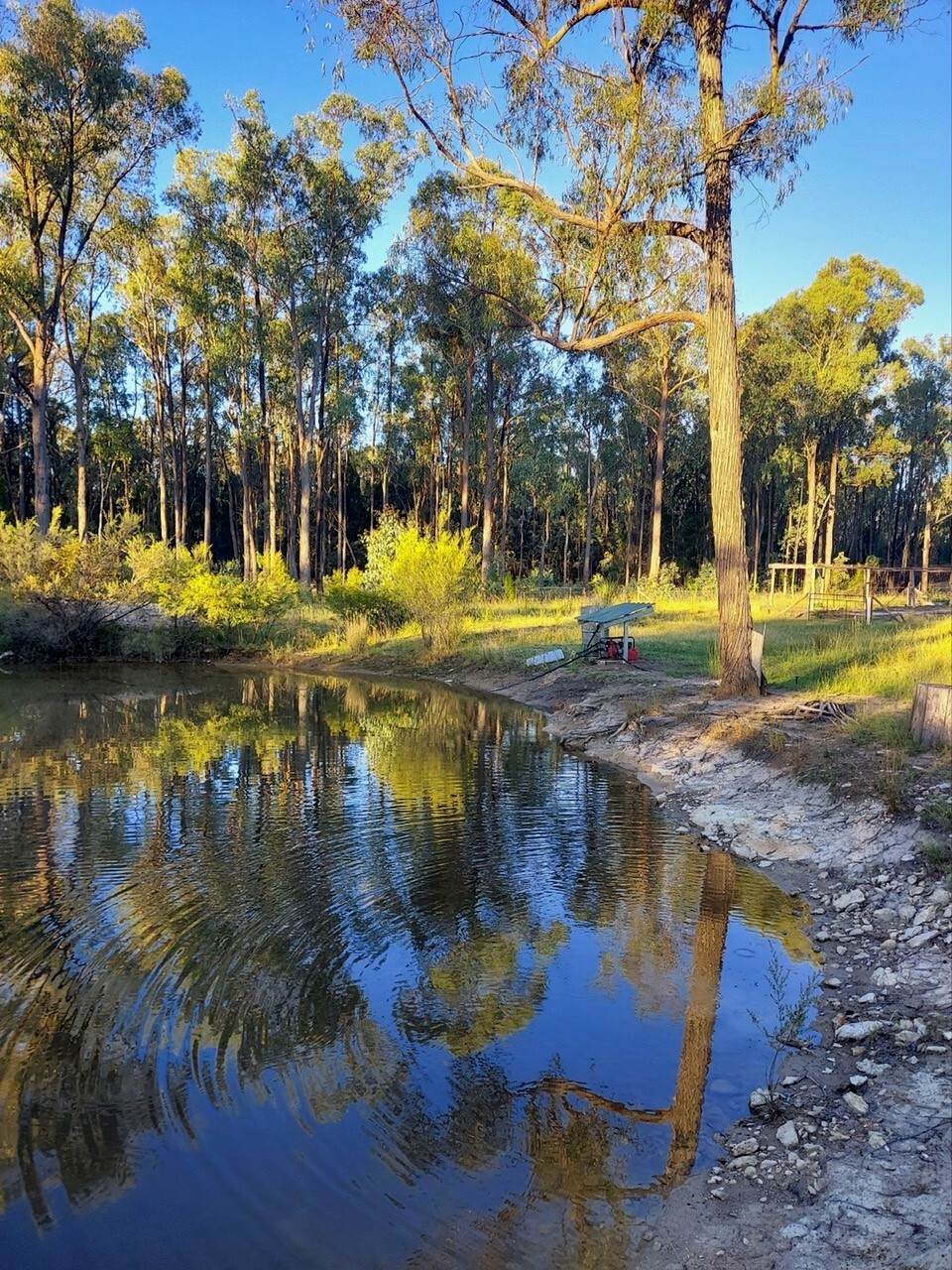 445 Old Stannifer Road, Inverell For Sale by Farmbuy.com - image 20