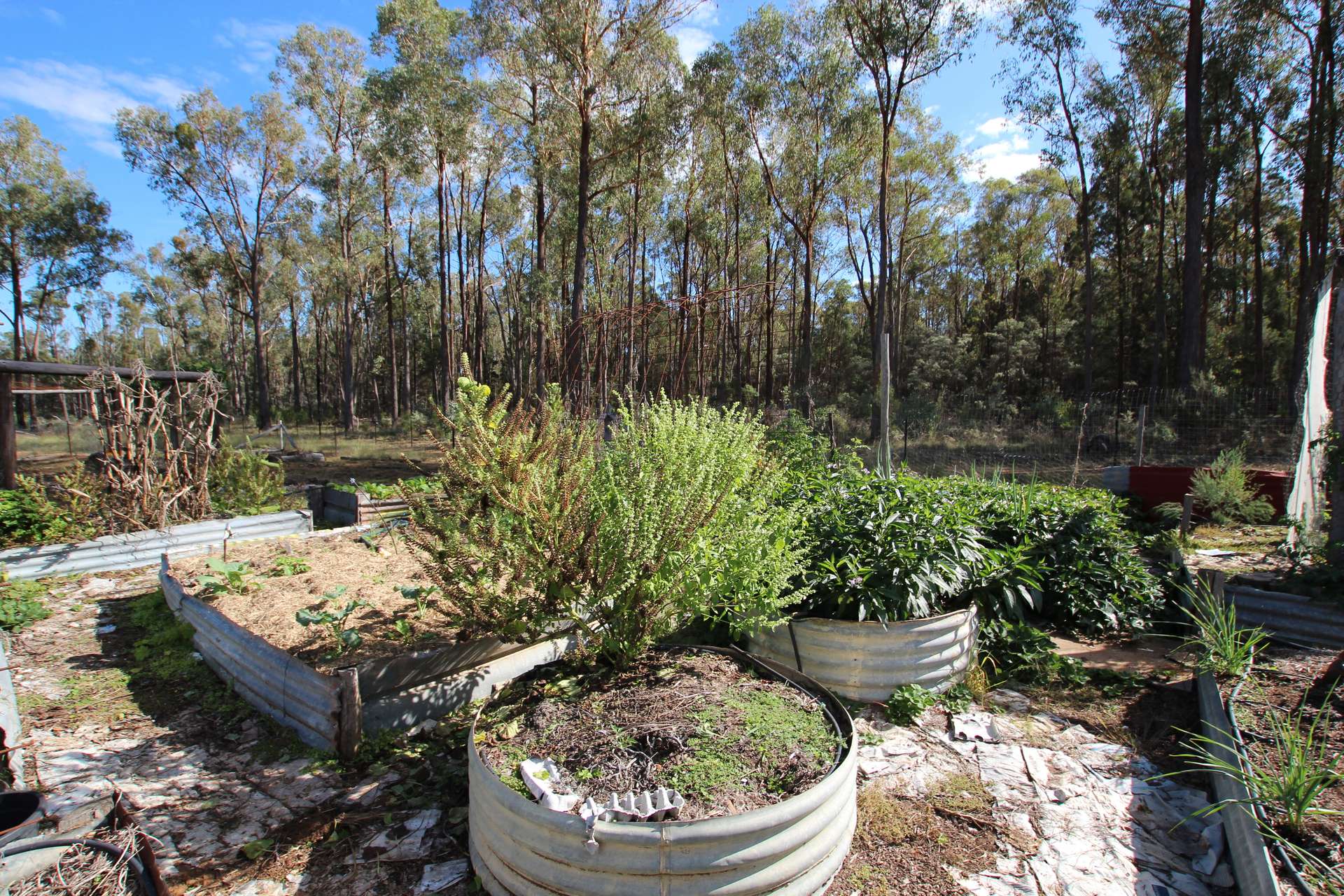 445 Old Stannifer Road, Inverell For Sale by Farmbuy.com - image 22