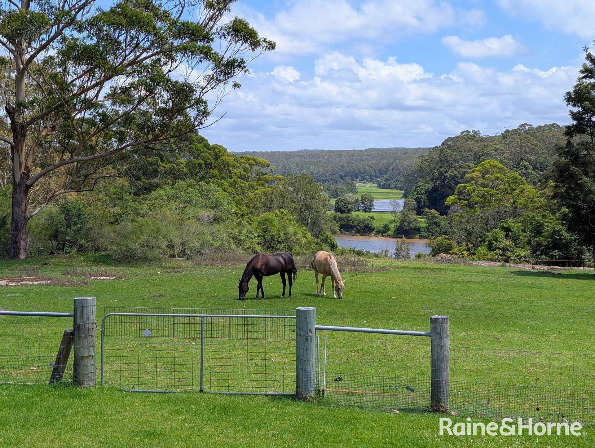 227 Mcmahons Road, North Nowra For Sale by Farmbuy.com - image 30