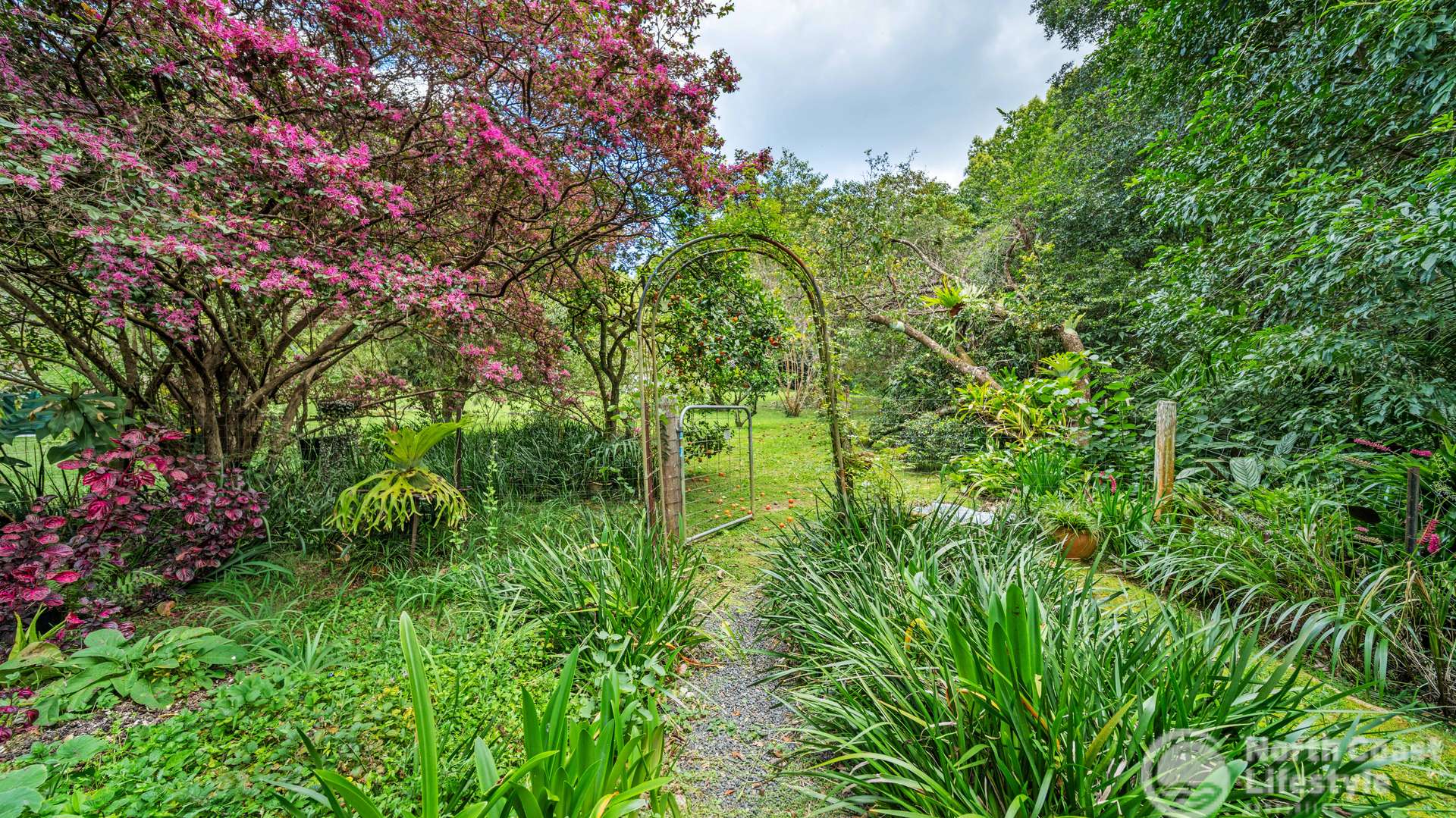 Share 8/358 Burringbar Road, Upper Burringbar For Sale by Farmbuy.com - image 31