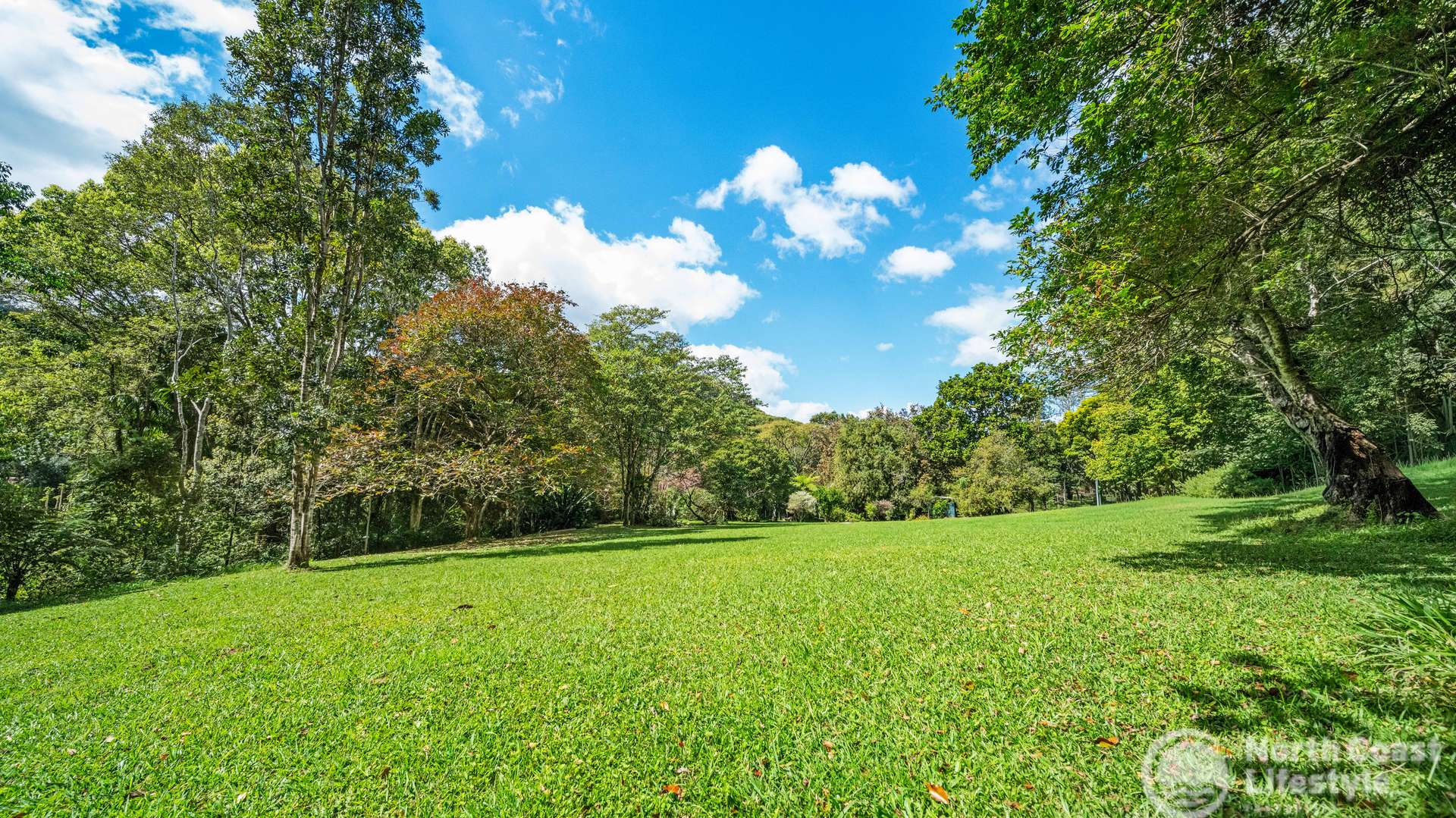 Share 8/358 Burringbar Road, Upper Burringbar For Sale by Farmbuy.com - image 33