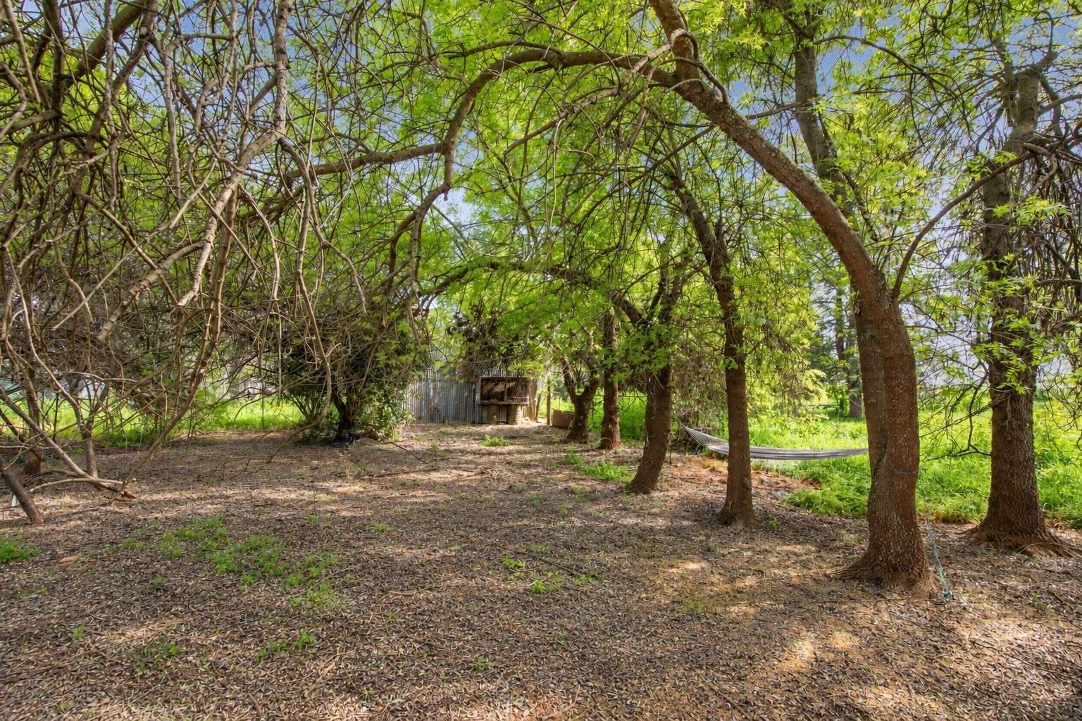 159 Mcdonalds Road, Leitchville Auction by Farmbuy.com - image 1