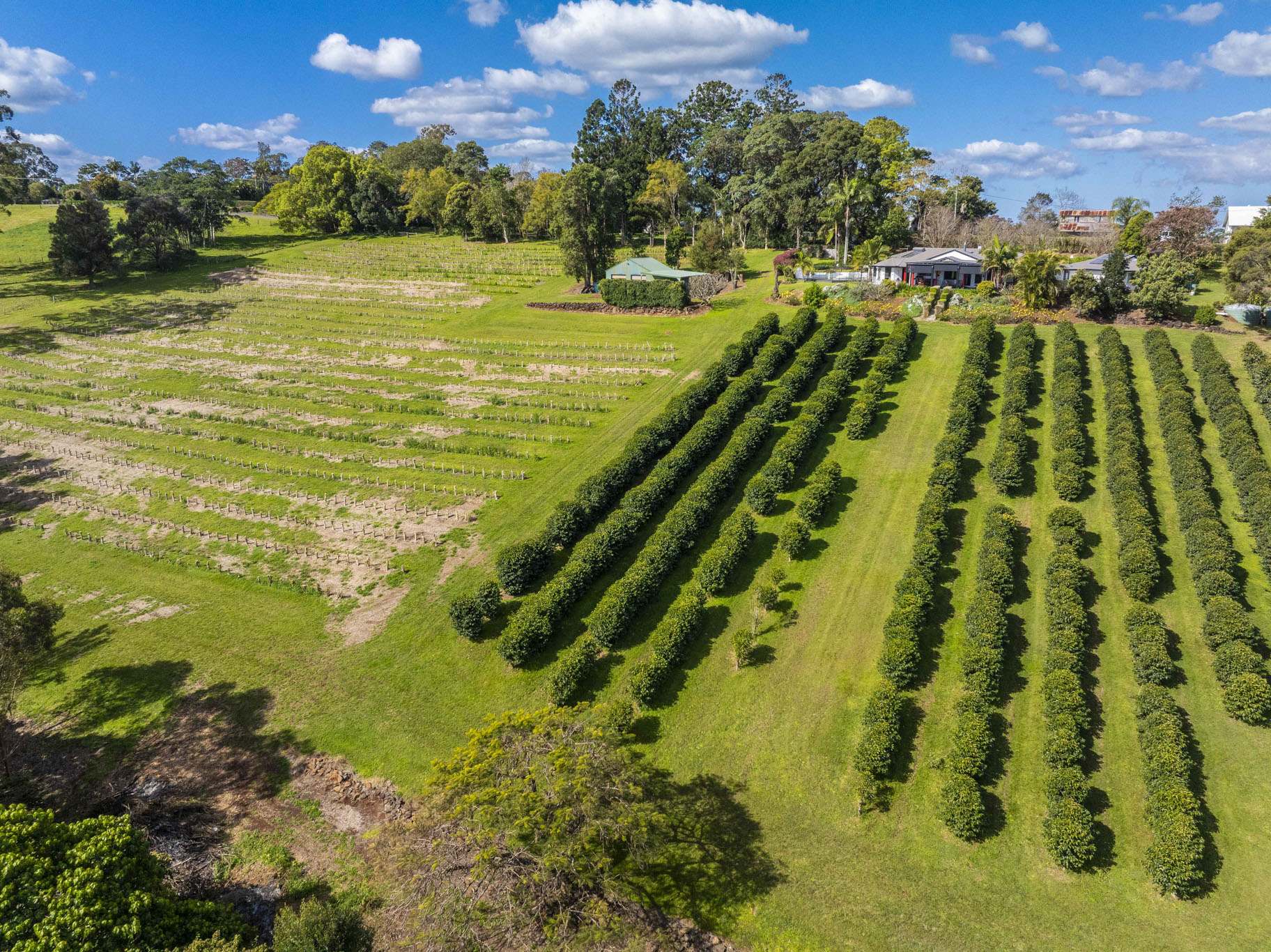 202 Koonorigan Road, Koonorigan For Sale by Farmbuy.com - image 30