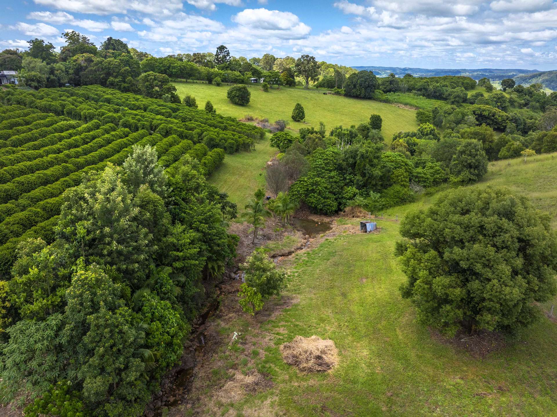 202 Koonorigan Road, Koonorigan For Sale by Farmbuy.com - image 34