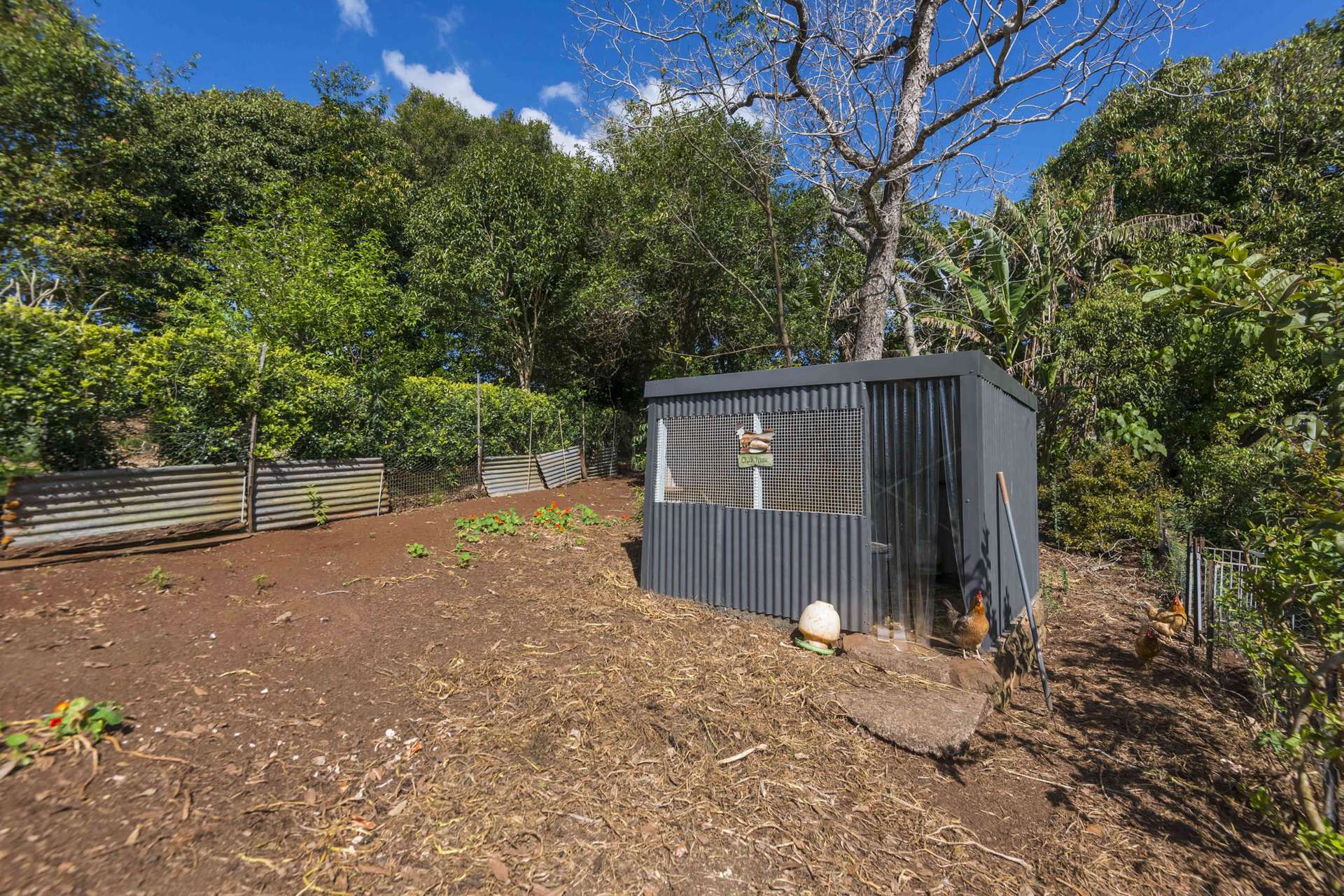 202 Koonorigan Road, Koonorigan For Sale by Farmbuy.com - image 29