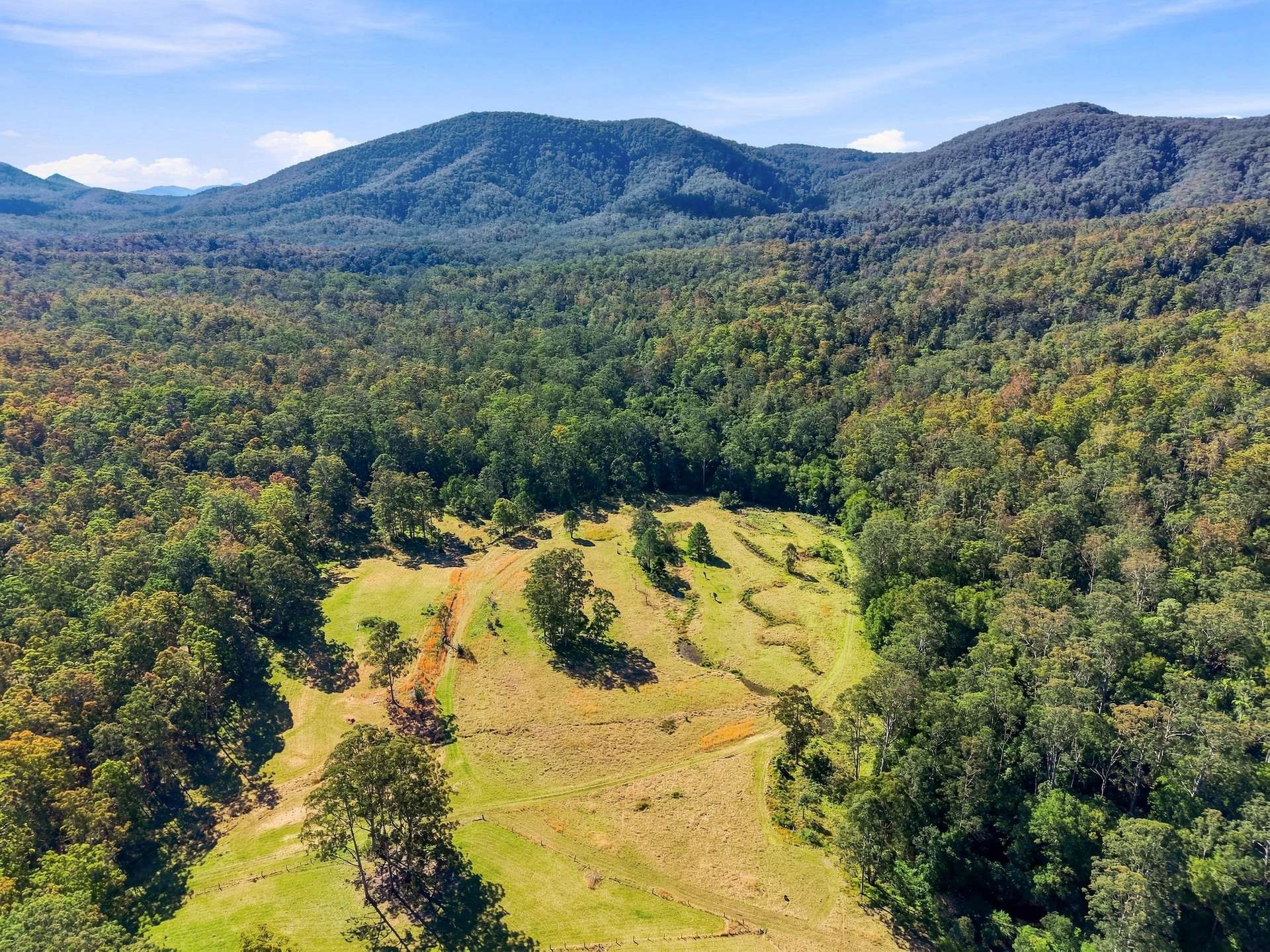 Lot 1 & 67 Crawford River Road, Crawford River For Sale by Farmbuy.com - image 13