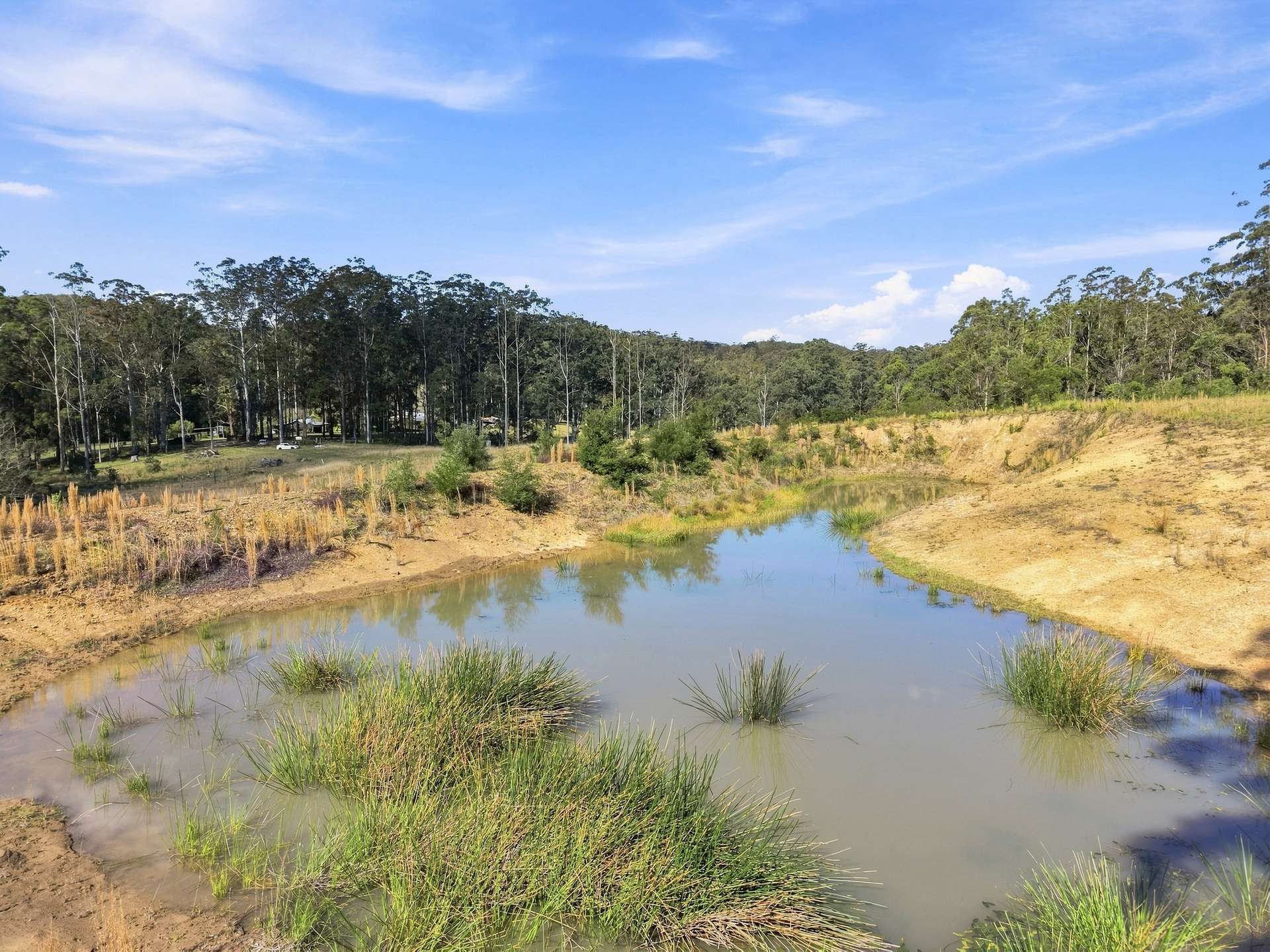 Lot 1 & 67 Crawford River Road, Crawford River For Sale by Farmbuy.com - image 14
