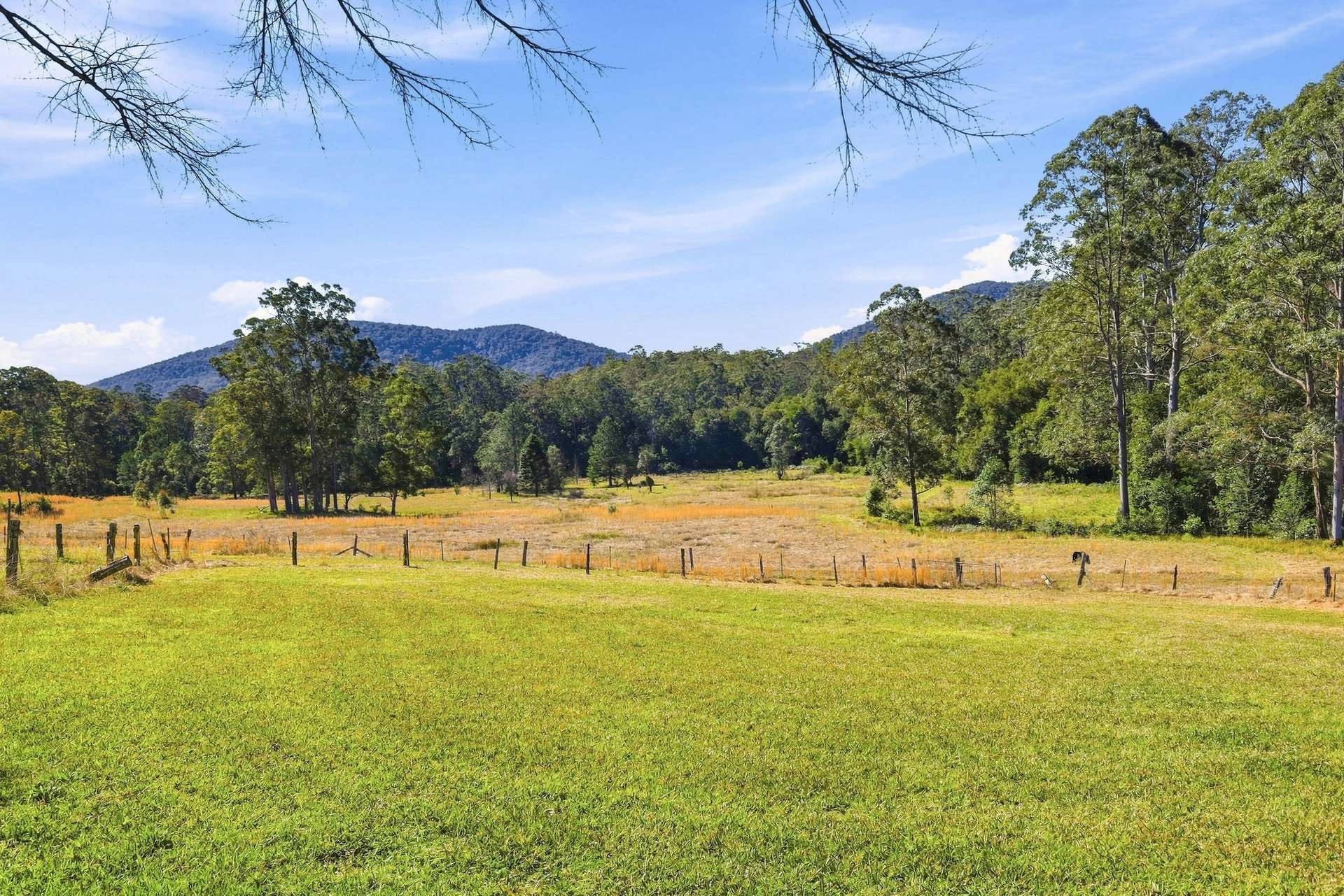Lot 1 & 67 Crawford River Road, Crawford River For Sale by Farmbuy.com - image 11
