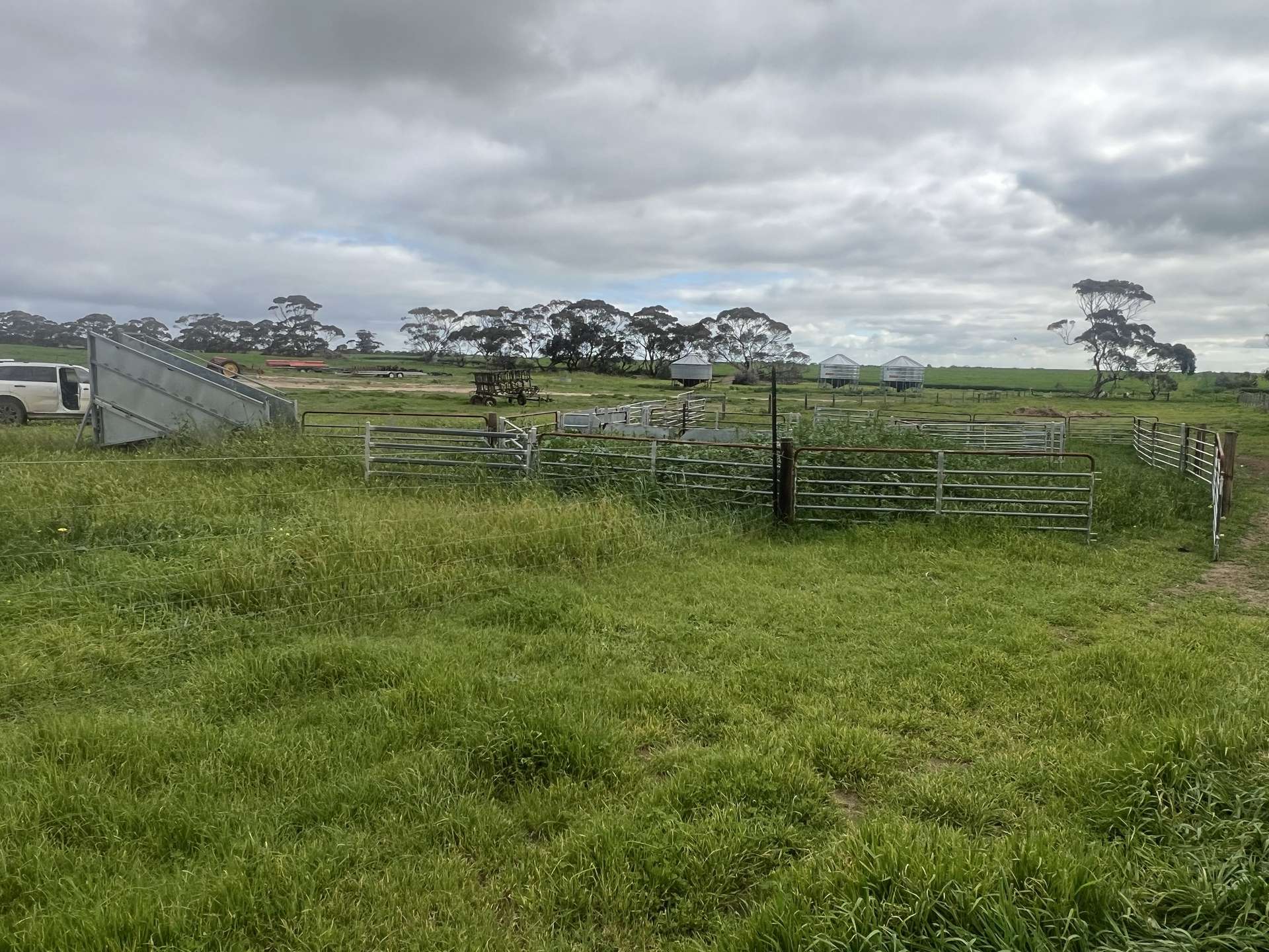 322 Netherton Road, Peake For Sale by Farmbuy.com - image 12