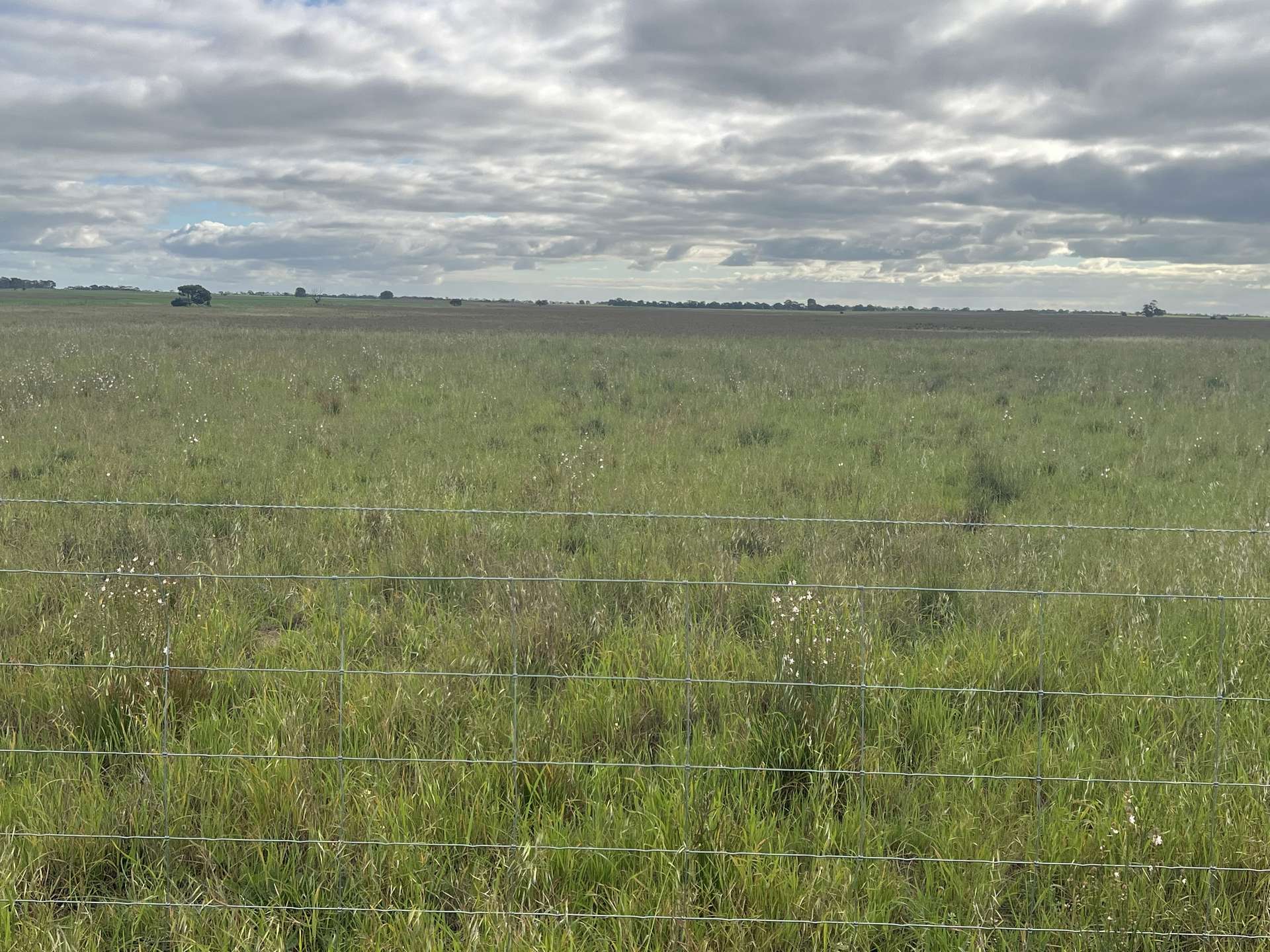 322 Netherton Road, Peake For Sale by Farmbuy.com - image 10