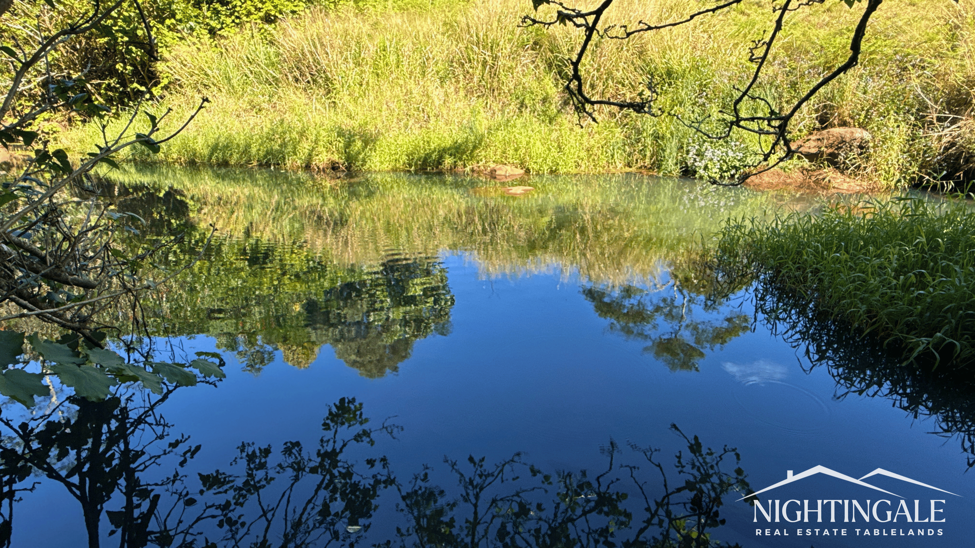 514 Theresa Creek Road, Millaa Millaa For Sale by Farmbuy.com - image 10