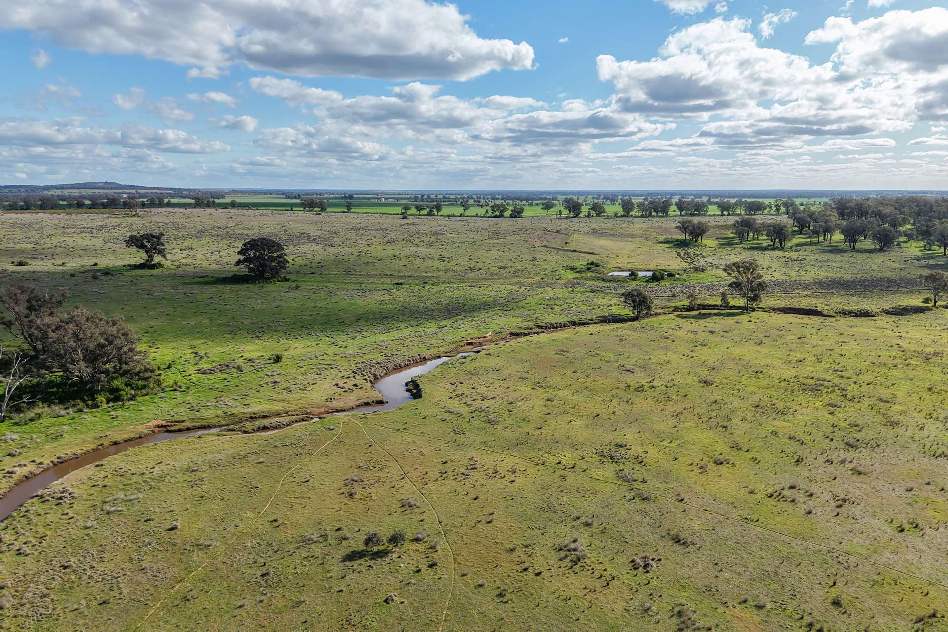 248 Houplines Road, Peak Hill Auction by Farmbuy.com - image 6