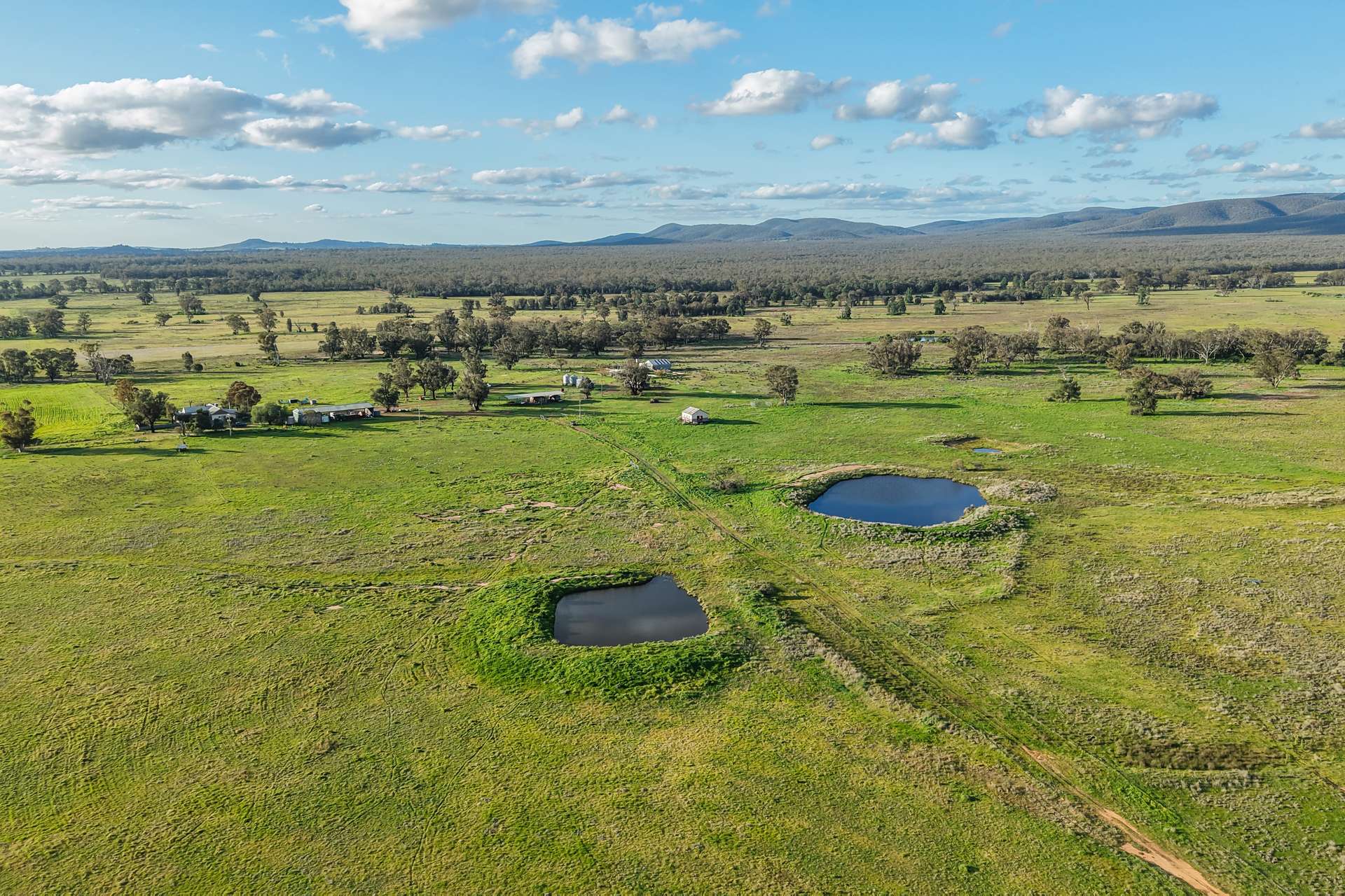 248 Houplines Road, Peak Hill Auction by Farmbuy.com - image 25