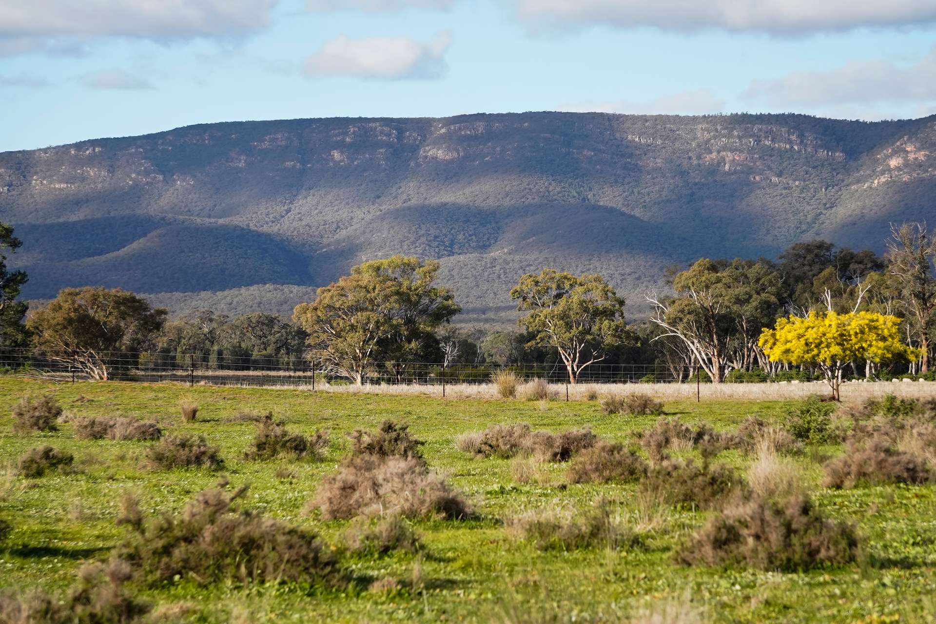 248 Houplines Road, Peak Hill Auction by Farmbuy.com - image 23
