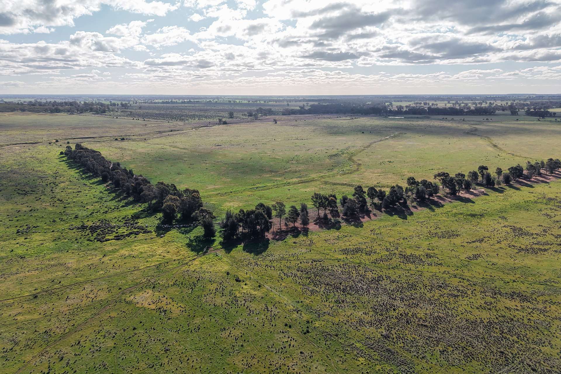 248 Houplines Road, Peak Hill Auction by Farmbuy.com - image 16